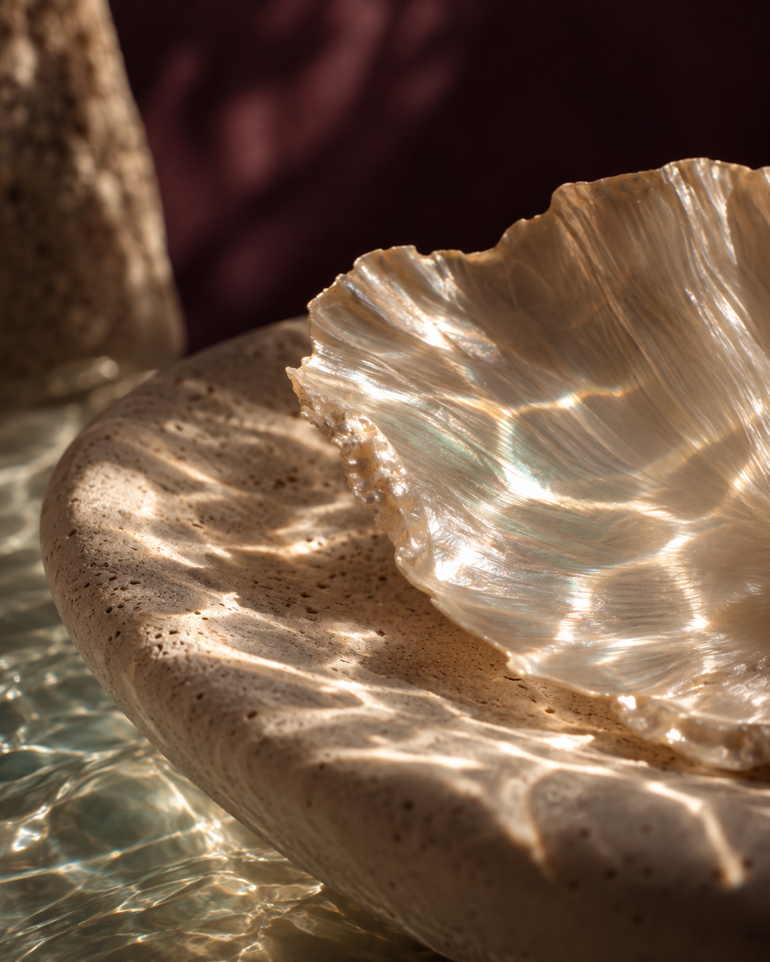 Close-up of a seashell on a stone surface with sunlight reflecting off the shell, creating sparkling patterns.