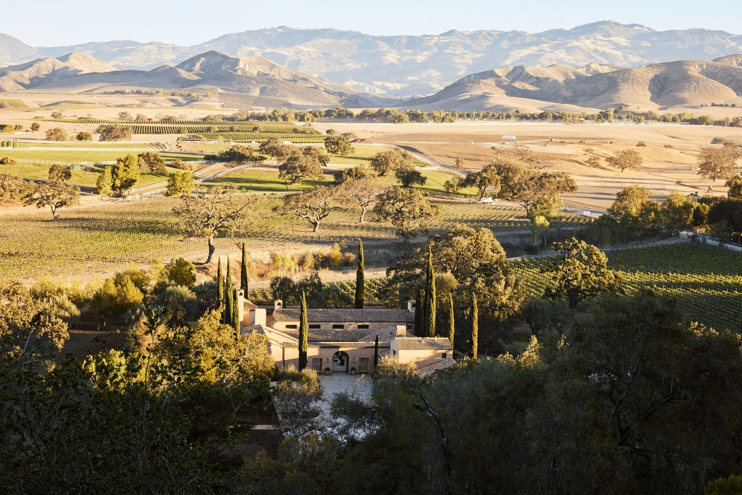 A scenic view of rolling hills with vineyards, trees, and a mansion, against a backdrop of distant mountains bathed in warm sunlight.