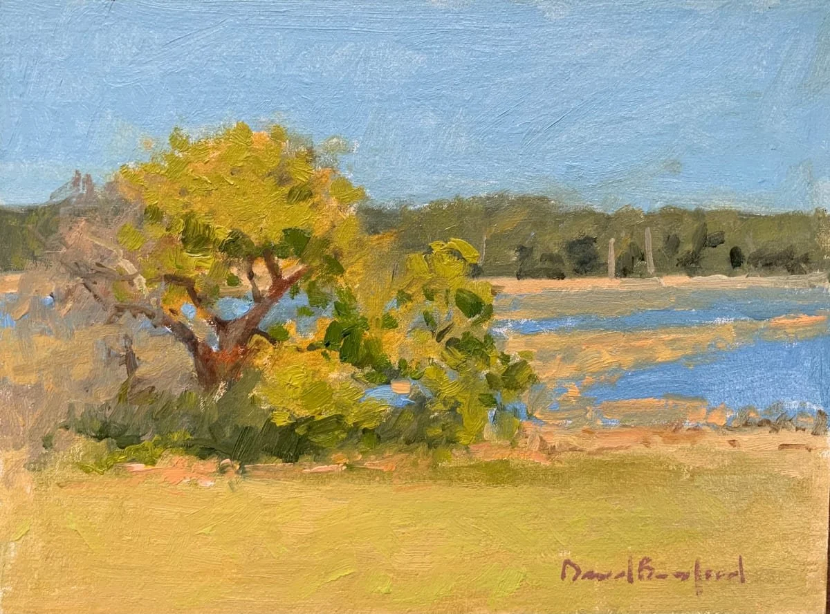 Cox Reservation Essex MA (9x12)