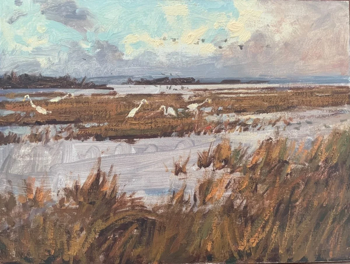Egrets in the Marsh (9x12)