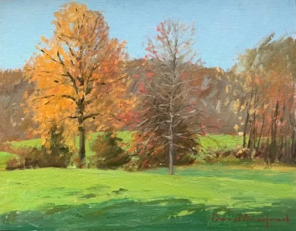 Autumn Colors Connecticut (11x14)