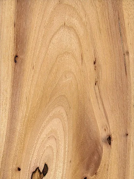 Close-up of a wooden surface showing natural grain and knots.