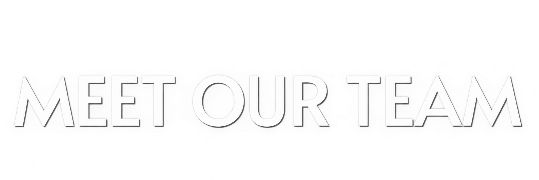 Text reading 'MEET OUR TEAM' in metallic silver letters with a white background.