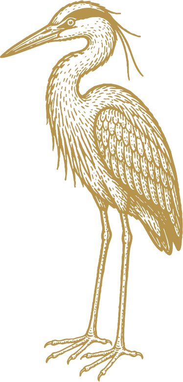 A detailed line drawing of a heron standing with long legs and a slender beak.