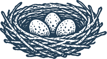 A bird's nest with three eggs inside.