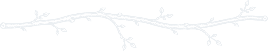 White decorative branch with small leaves on a black background.