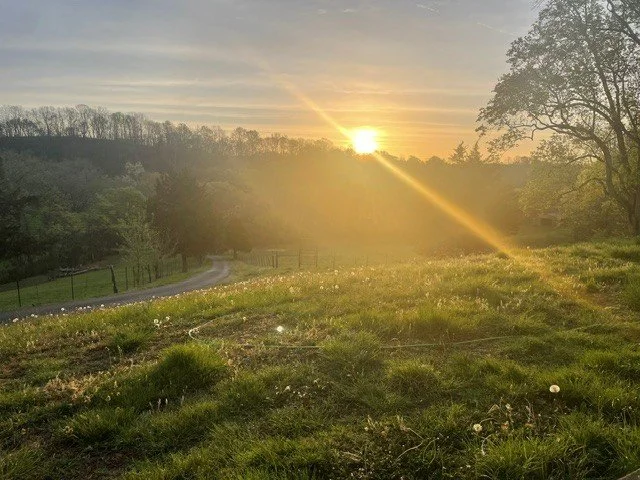 Morning sunrise over a grassy field with a the rolling driveway leading to the private retreat.
