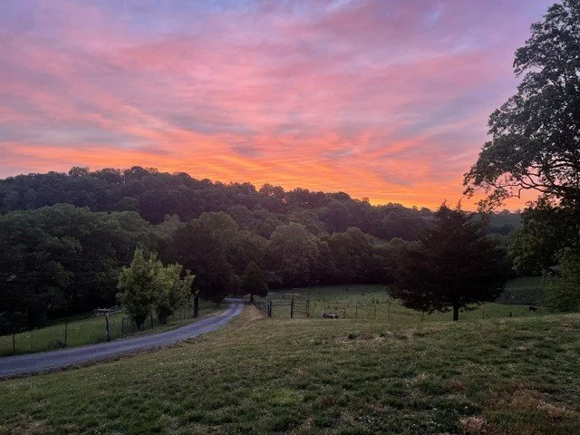 Sunrise over the rolling countryside at Refuge Ranch, with the winding private driveway, grassy fields, trees and Tennessee hills in the distance.