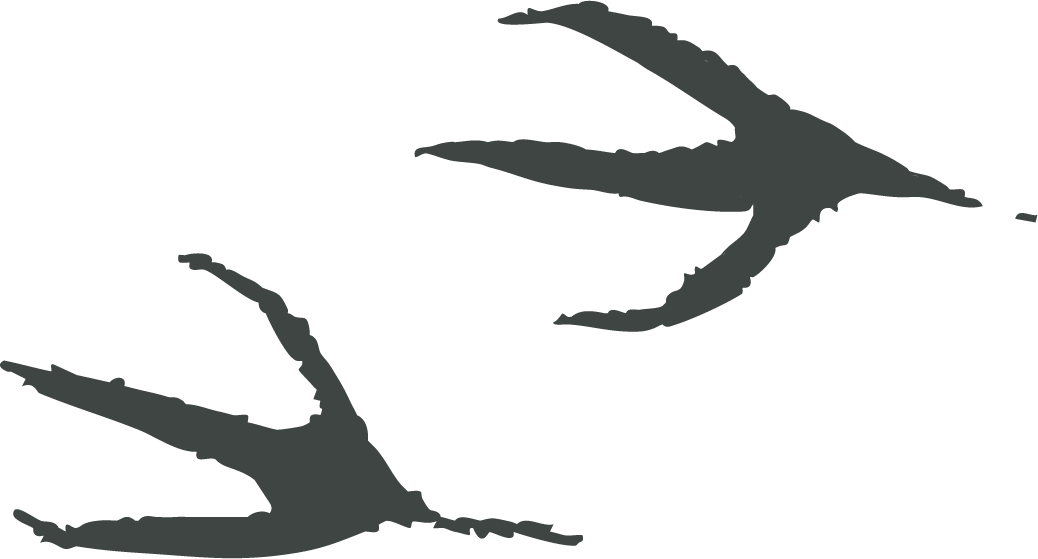 Silhouette of a bird perched on a branch with leaves.