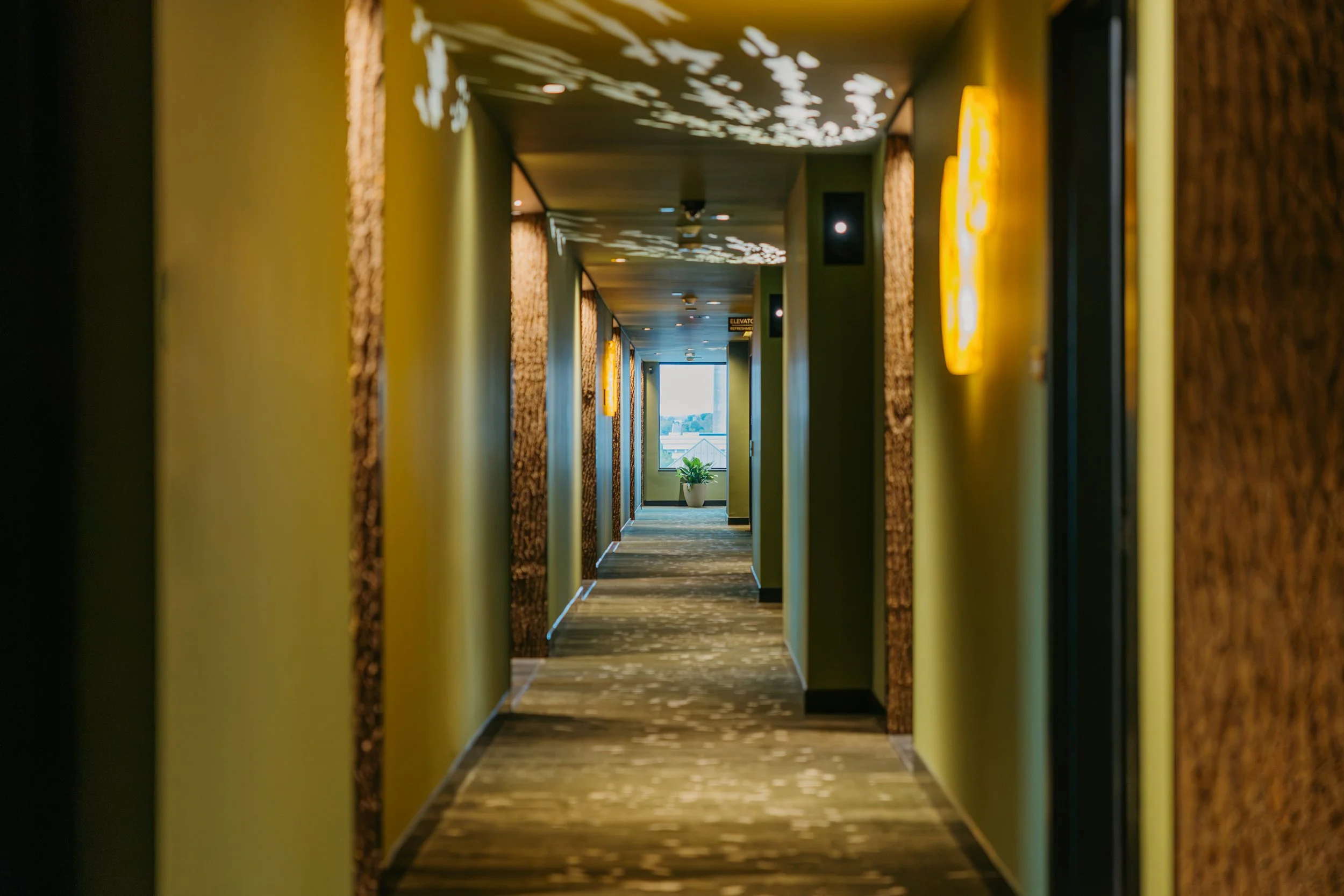 A hallway in a building with patterned lighting on the ceiling, a window at the end with a plant inside, and colored walls on both sides.
