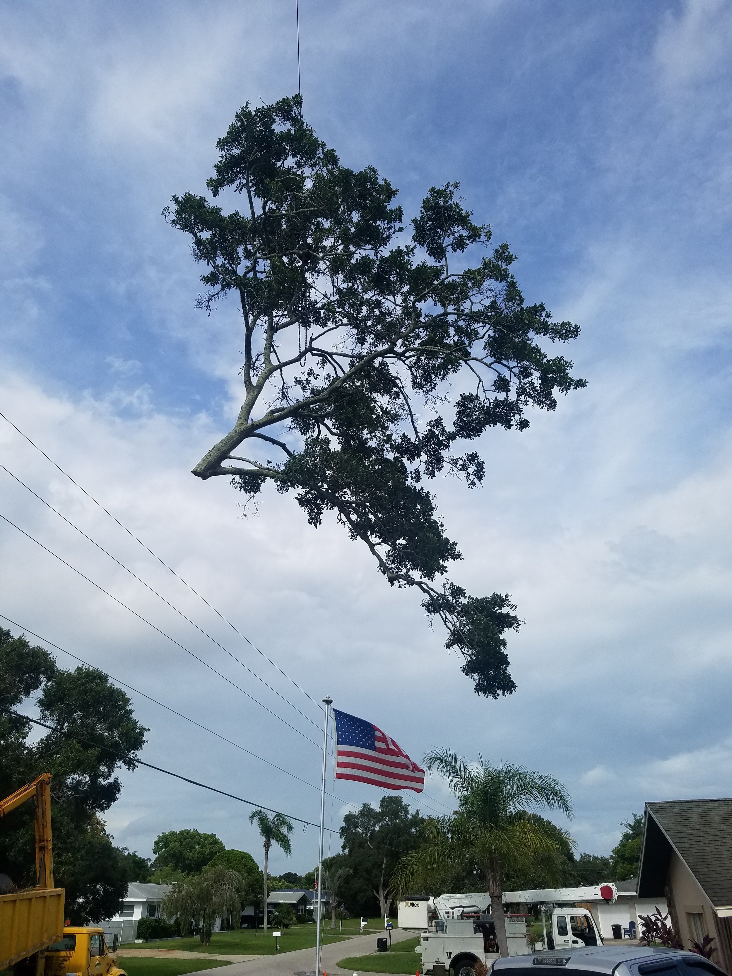 20180801_101352.jpg