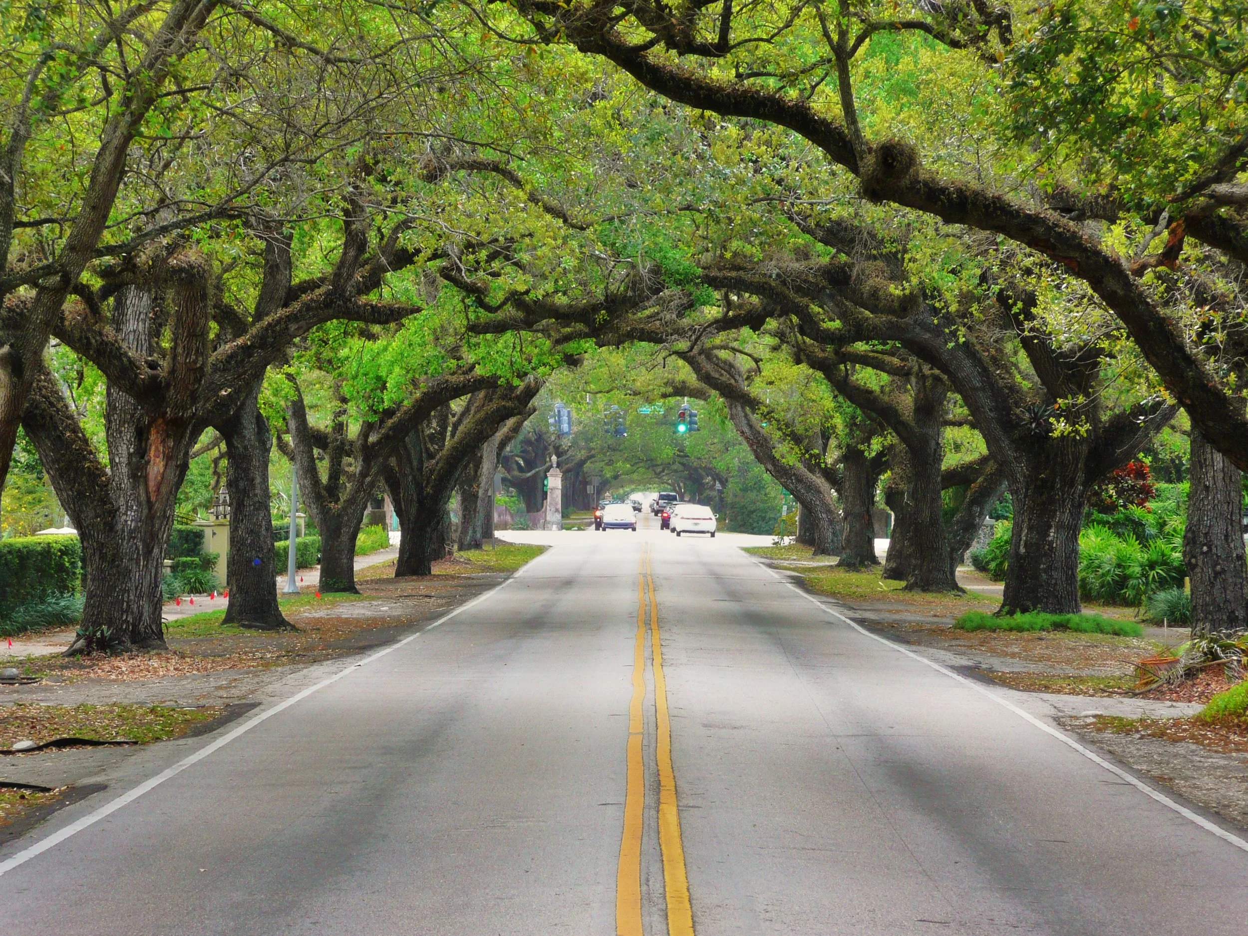 Coral_Way_20100321[1].jpg
