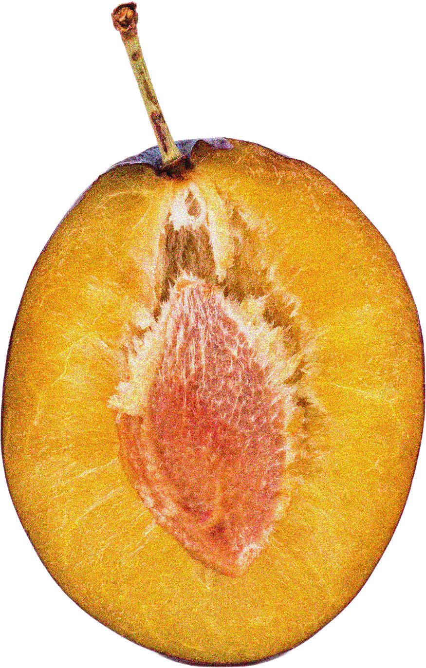 Half-cut yellow peach with pit in the center against a black background.