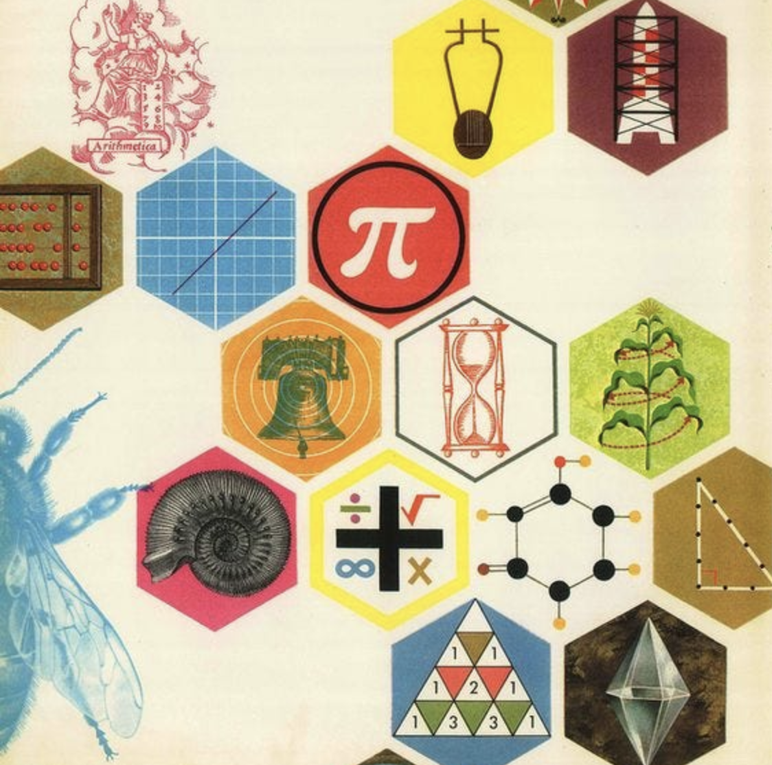How a creative weirdo, who "hated math," became really damn good at numbers