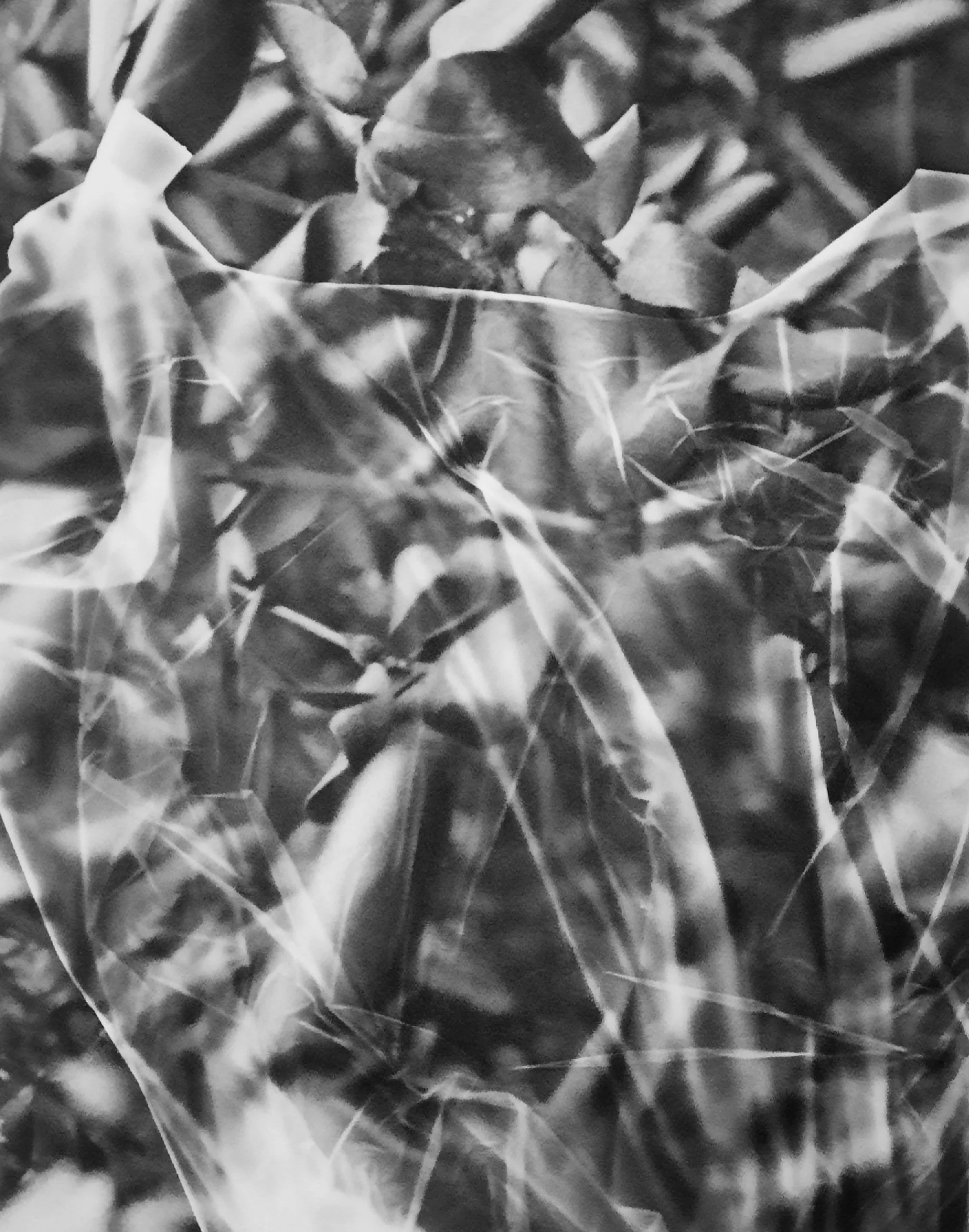 Darkroom photography