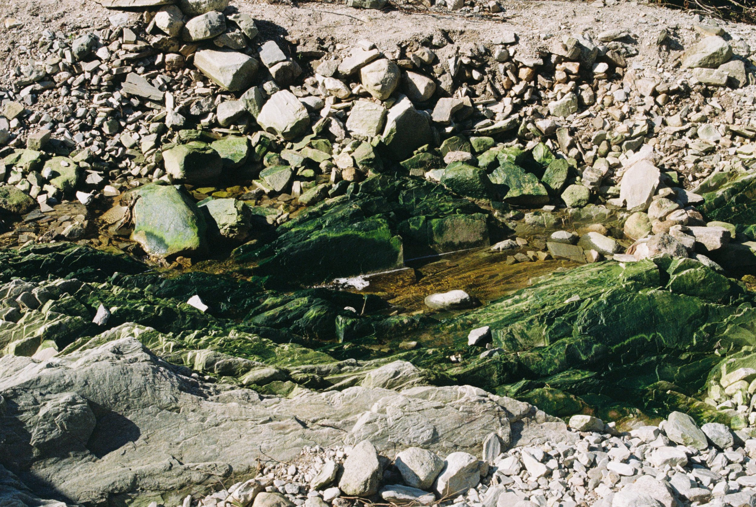R1-01551-001A.JPG