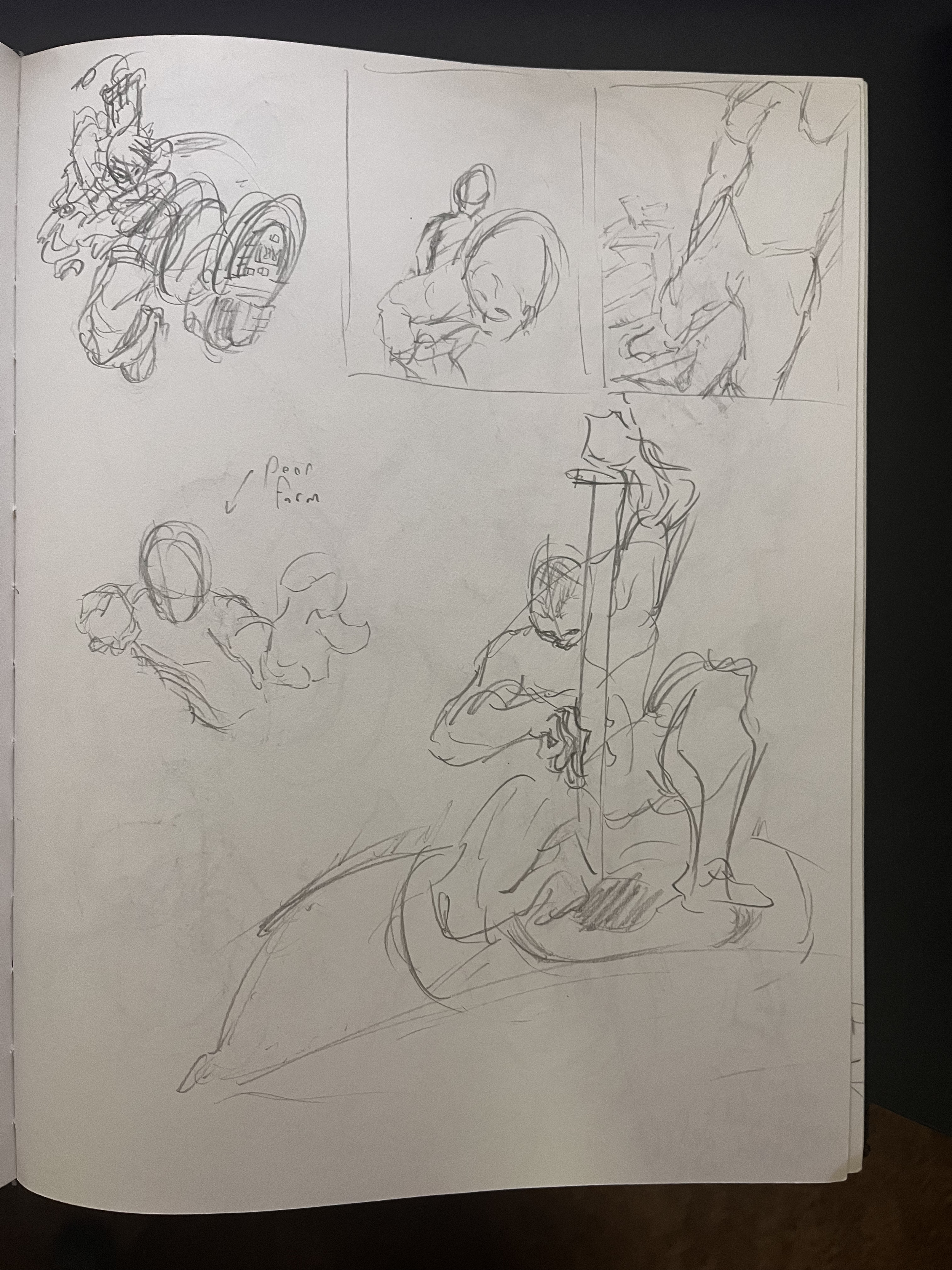 IMG_5502.png