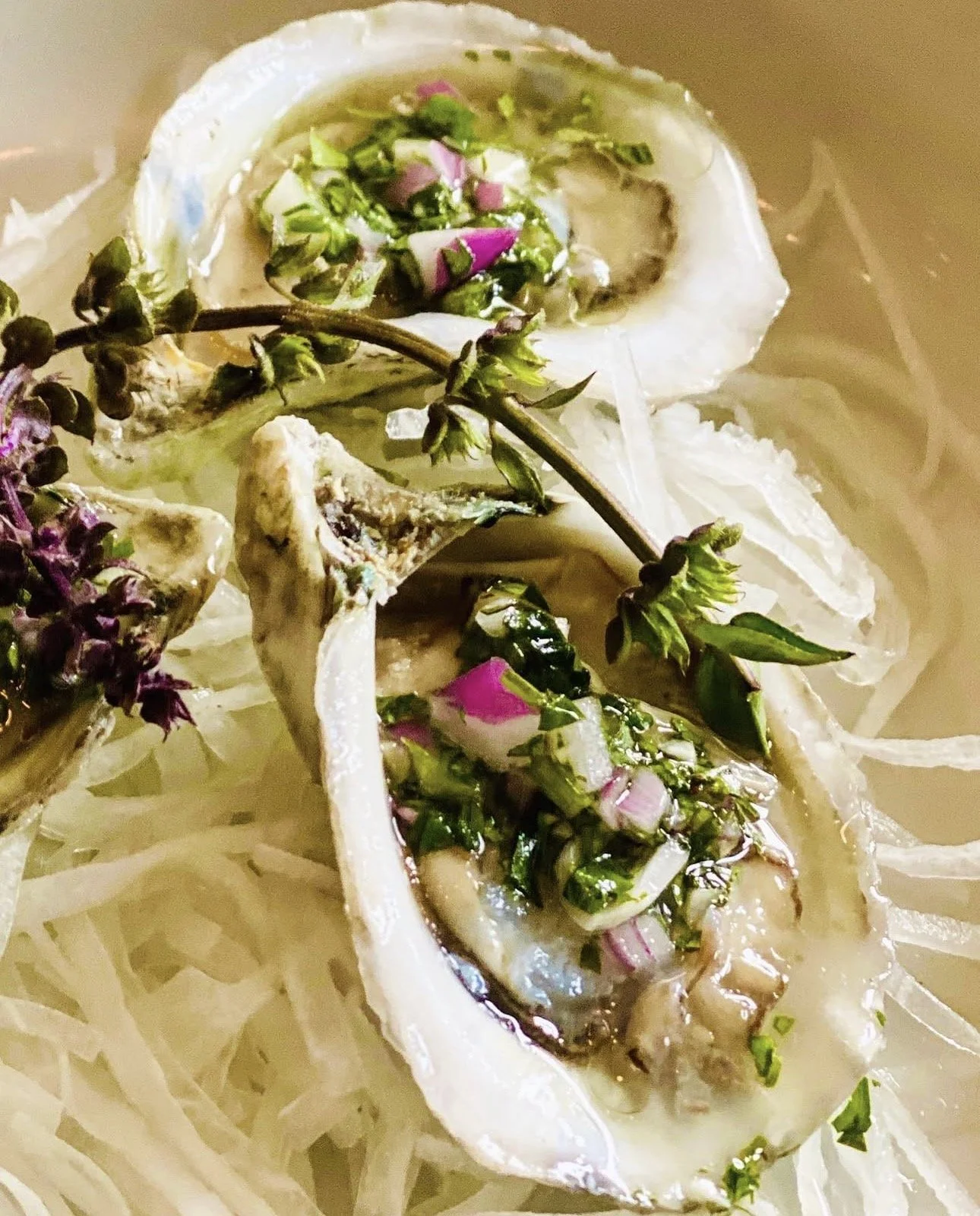 Close-up of a seafood dish with oysters topped with chopped vegetables and herbs, over a bed of thinly sliced onions.