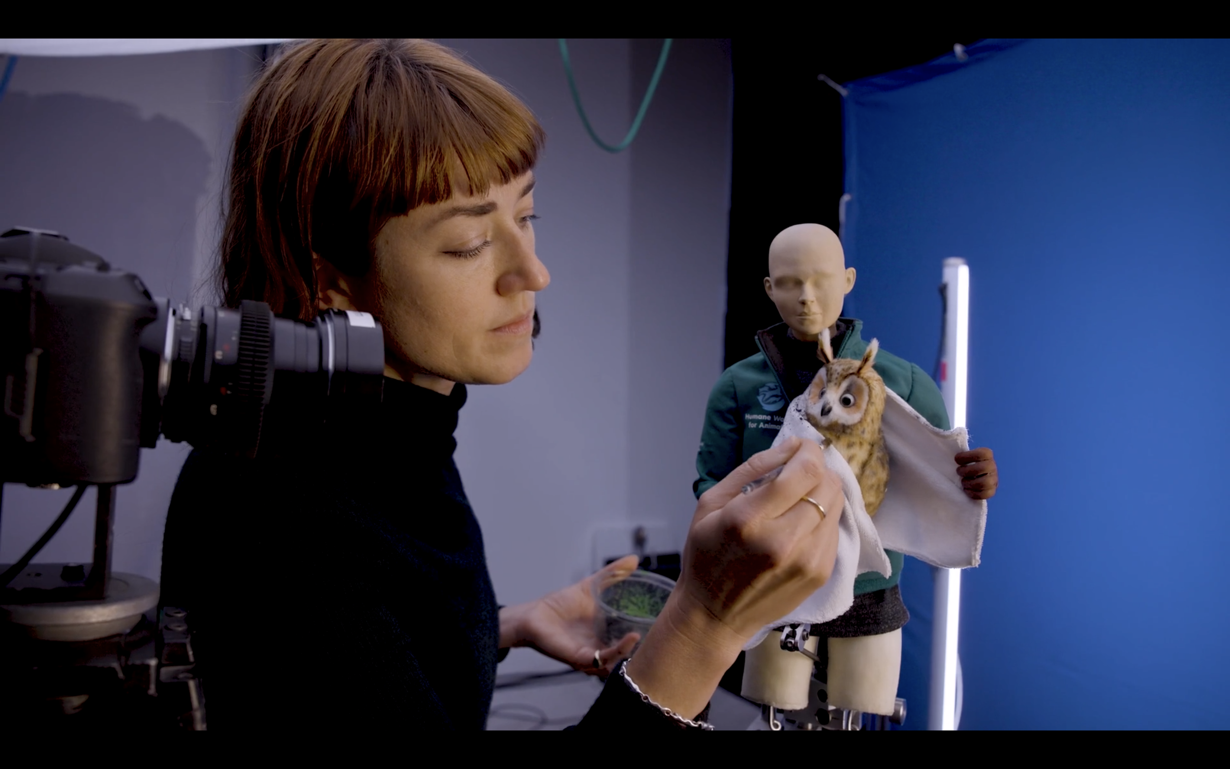 Humane World For Animals - Modelmaker/Set build
