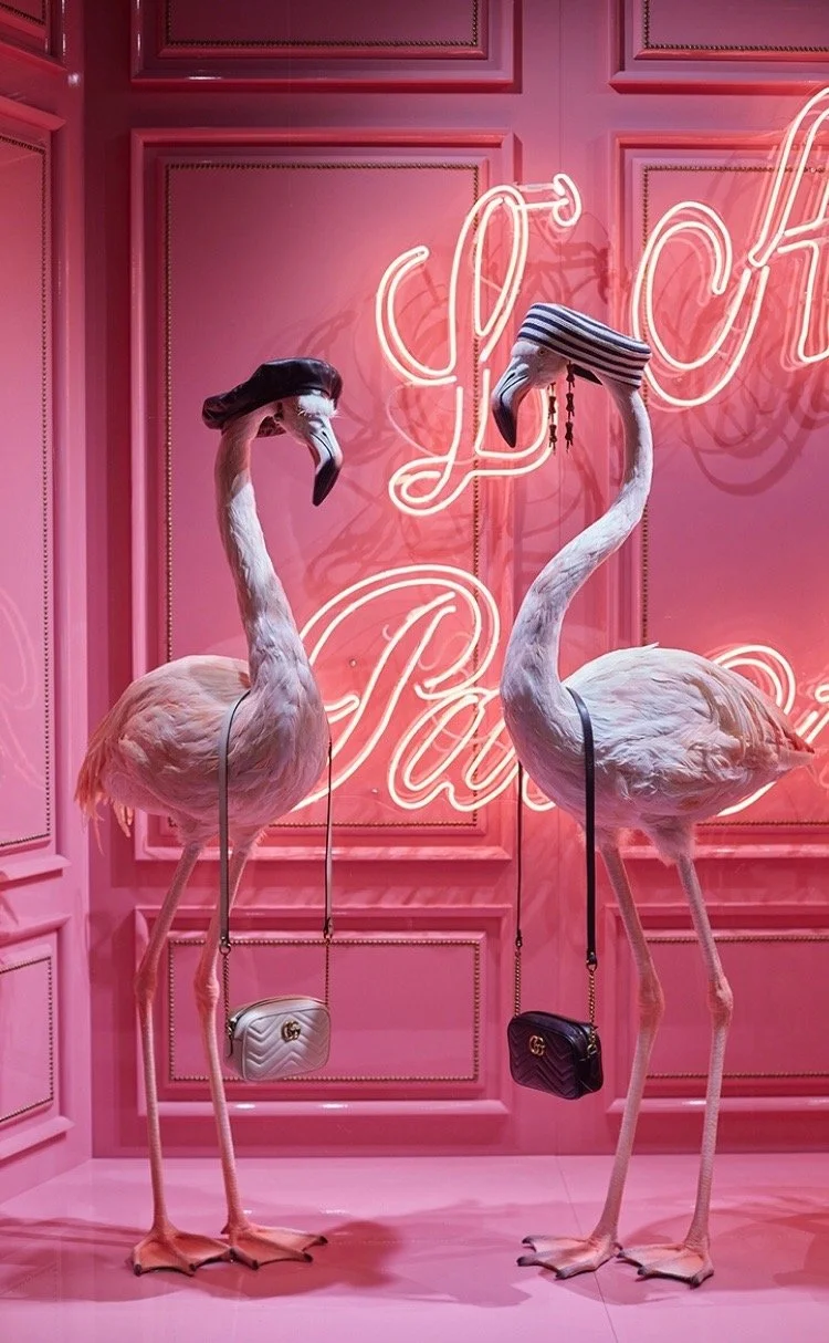 Gucci Flamingos