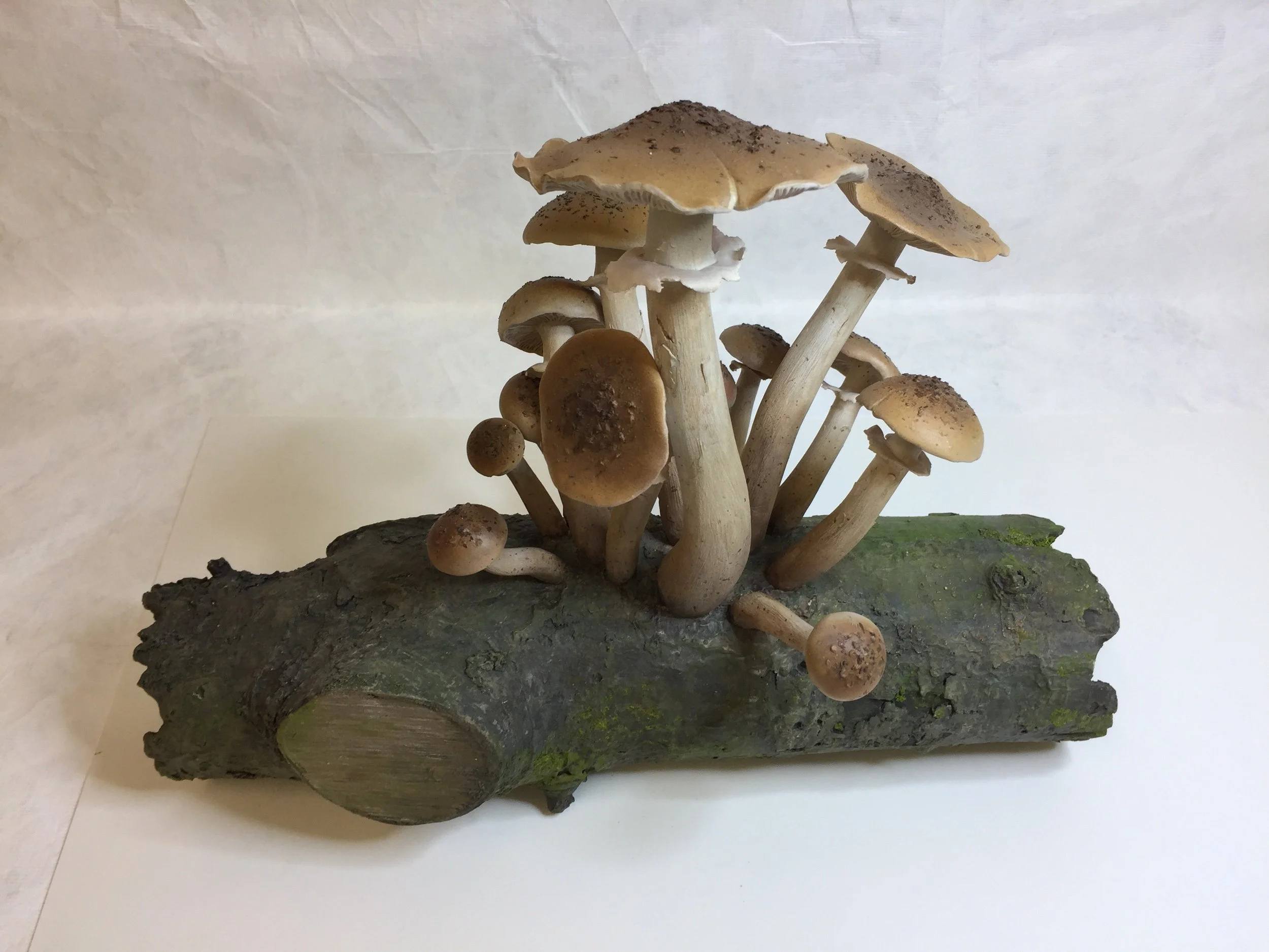 Replica mushroom - Museum Exhibit