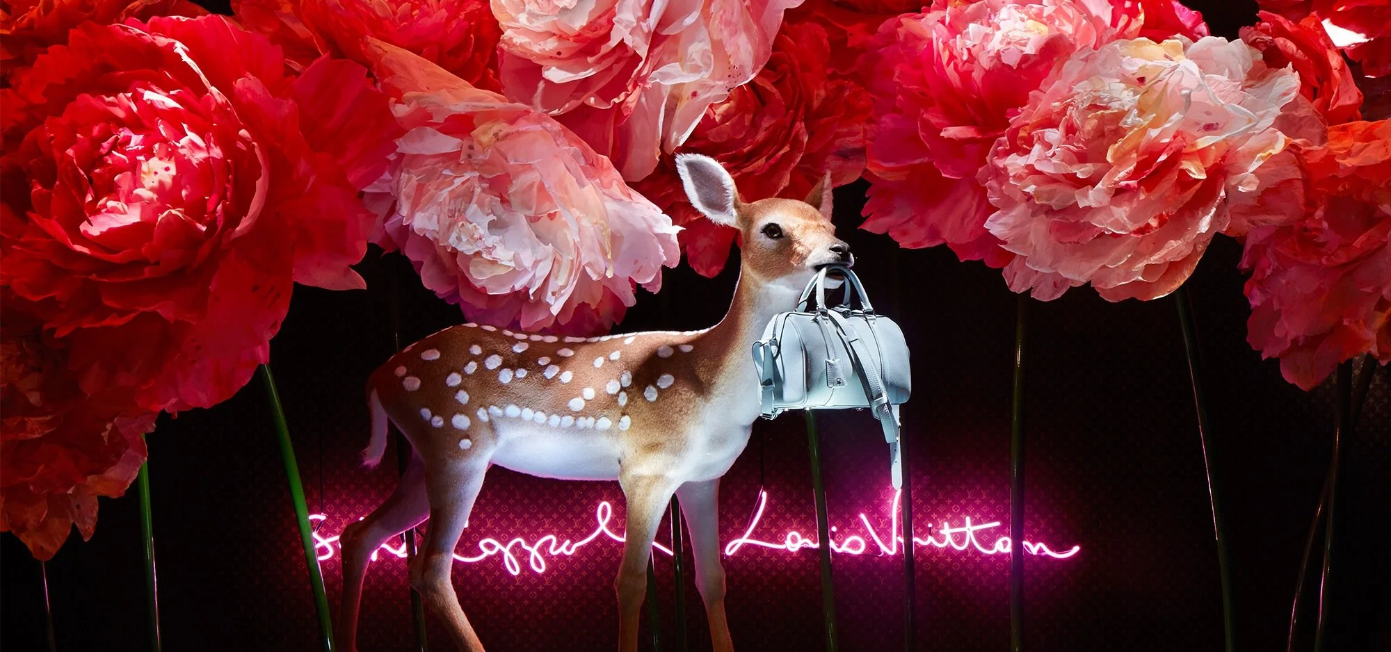 Louis Vuitton x Sofia Coppola - Peonies