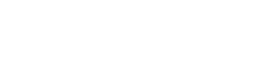 Image with the word 'REINKARNATION' and the dates '29.01 | 30.01' beneath it, in white text on a black background.