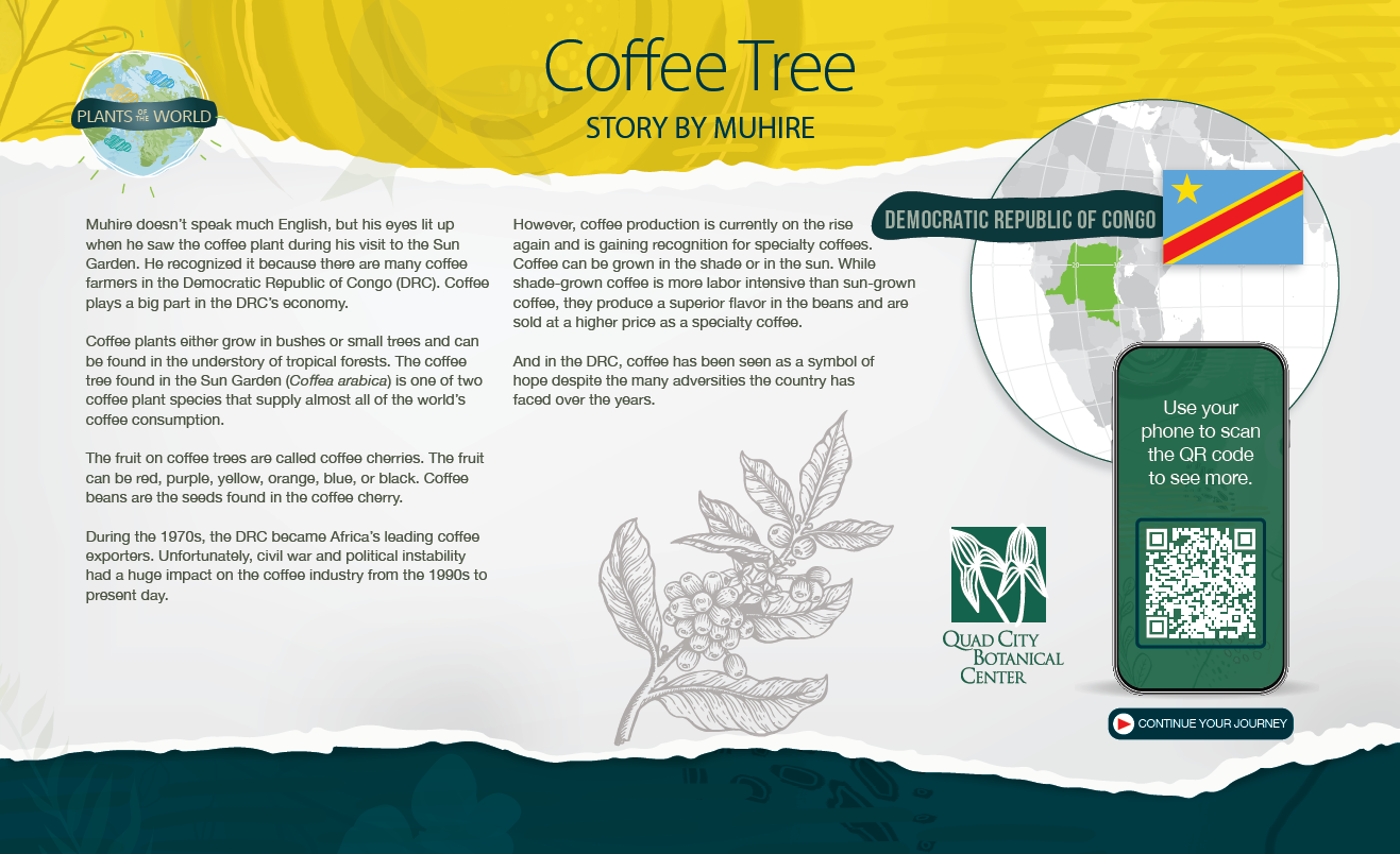 Informational graphic titled 'Coffee Tree' from the Plants of the World series. It includes text about coffee production in the Democratic Republic of Congo, a map of Africa highlighting Congo's location, a QR code for more information, and a logo of the Quad City Botanical Center.