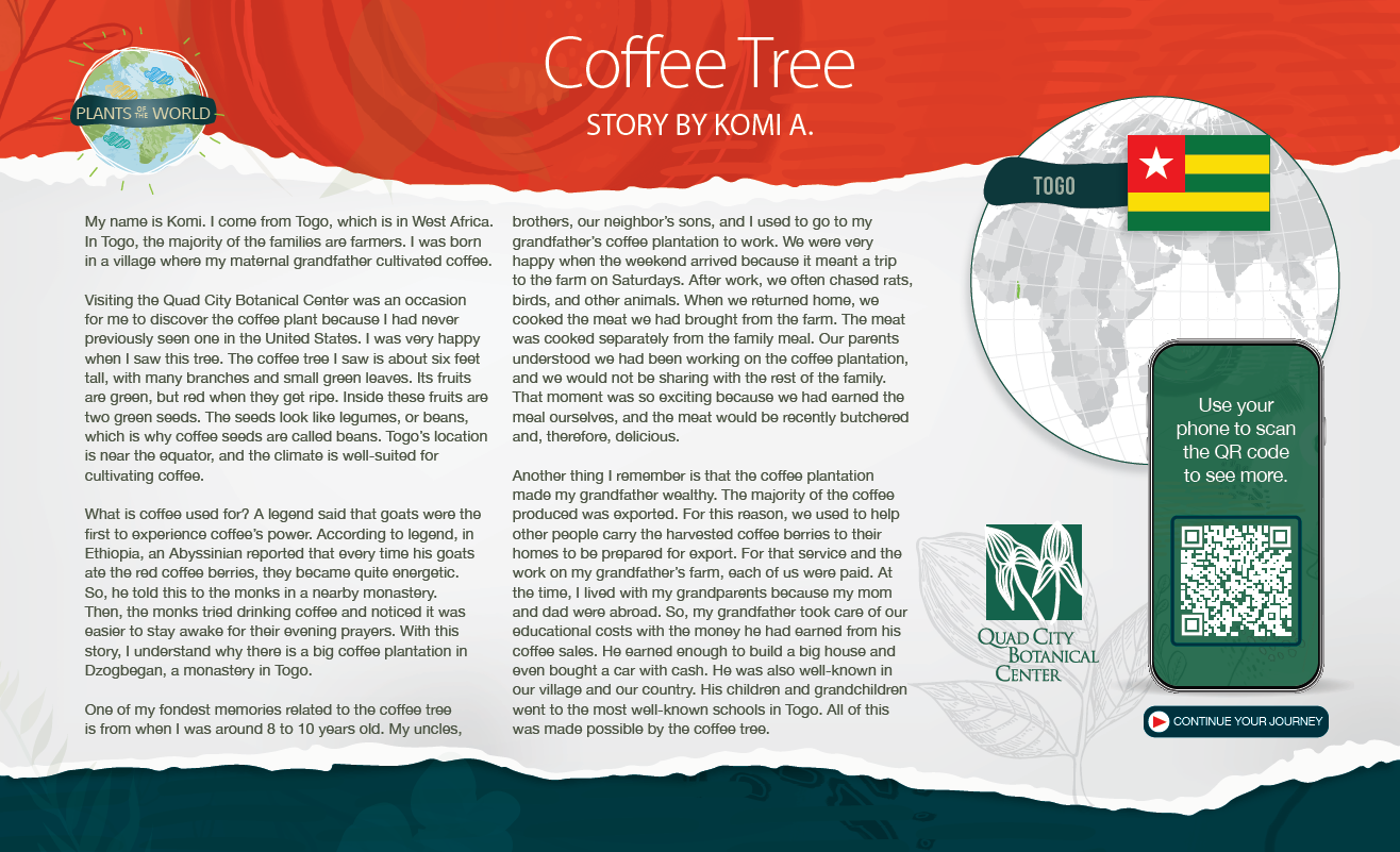 A digital story titled 'Coffee Tree' by Komi A., featuring text about Togo and the history of coffee cultivation, with a global map showing Togo's location, a QR code, and the Quad City Botanical Center logo.