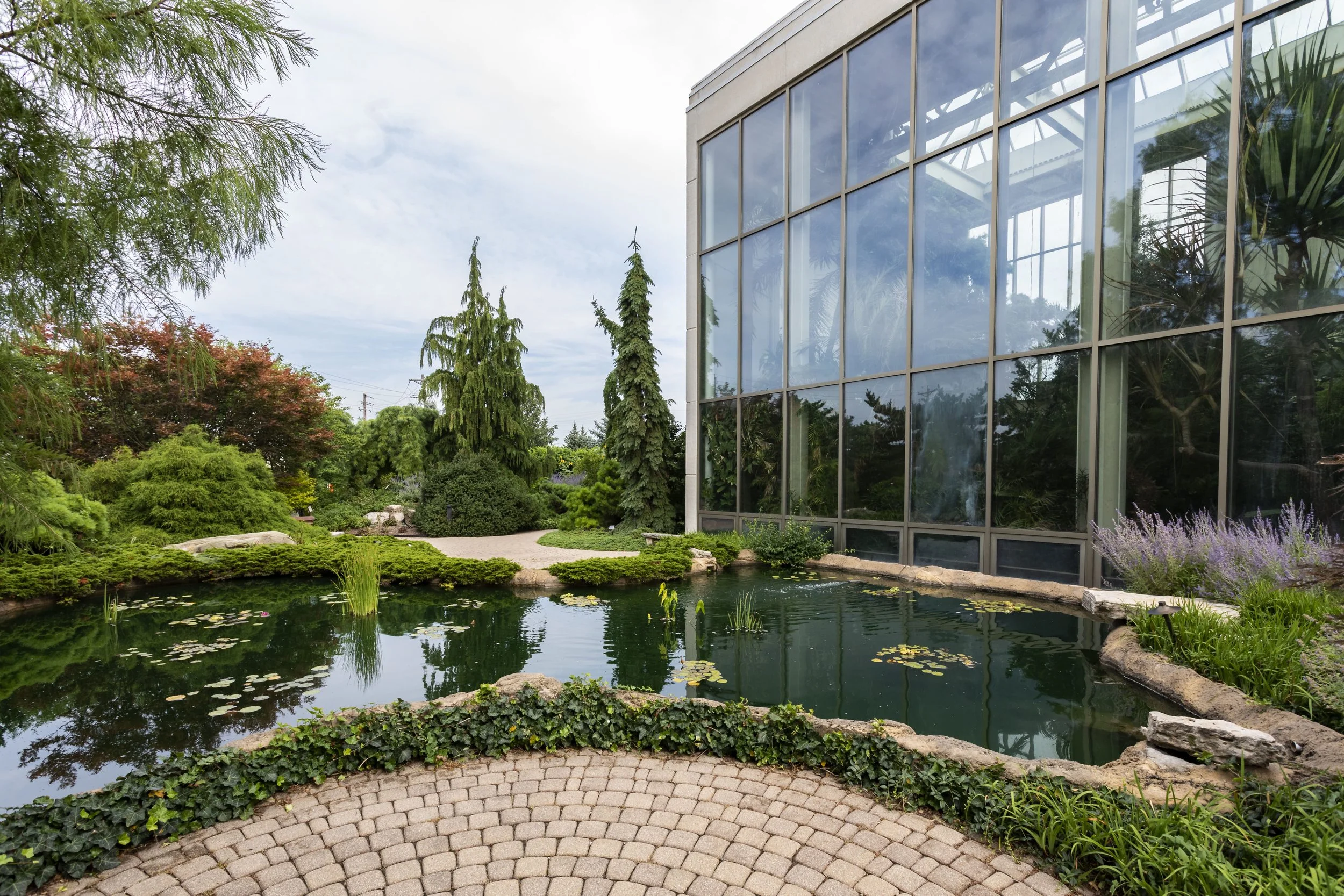 A large, modern building with glass walls reflects surrounding trees, next to a pond with lily pads and water plants. There is a patterned stone pathway and lush greenery including trees and shrubs.