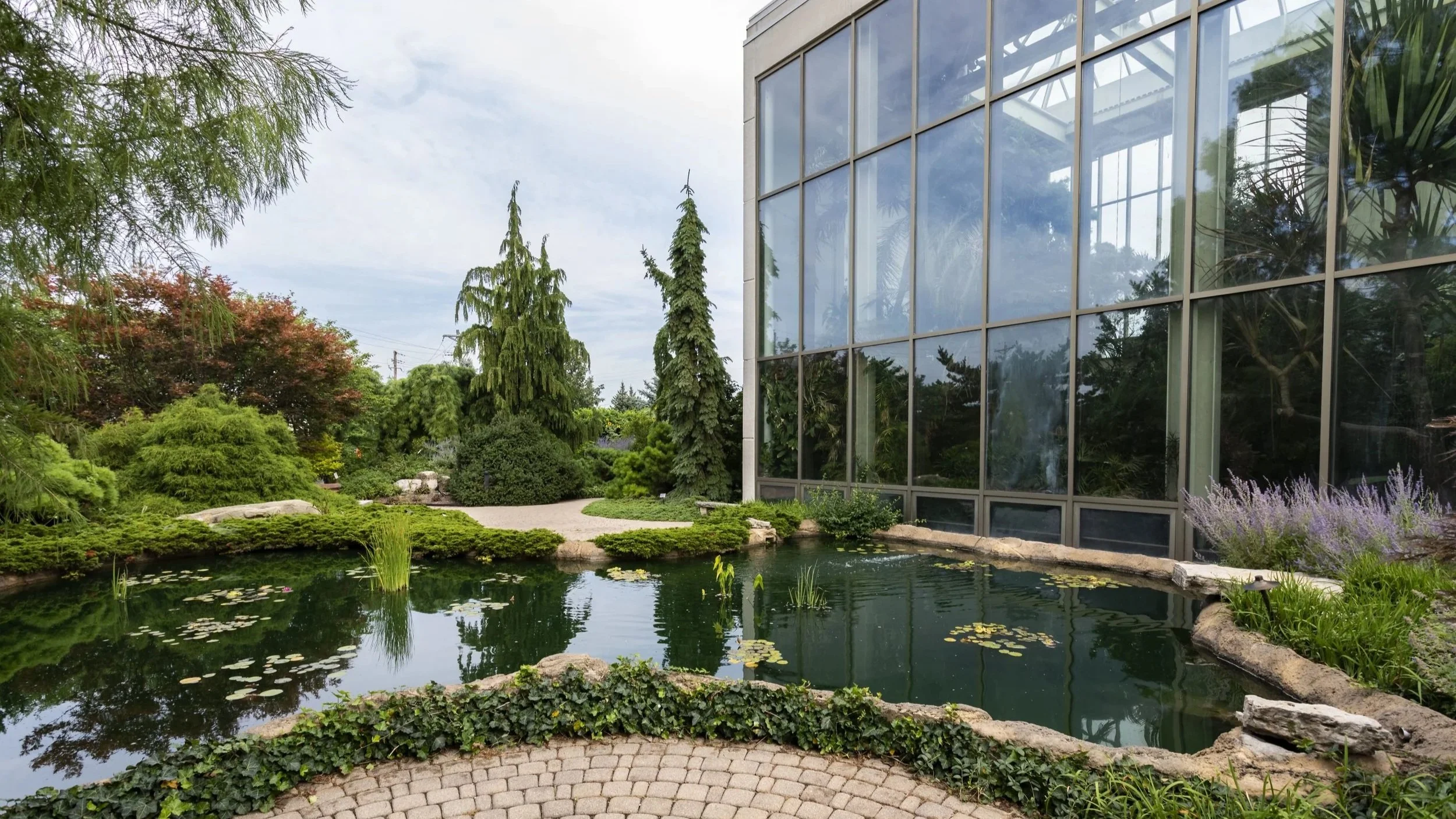A landscaped garden with a pond, various trees and shrubs, and a modern glass building reflecting the surroundings.