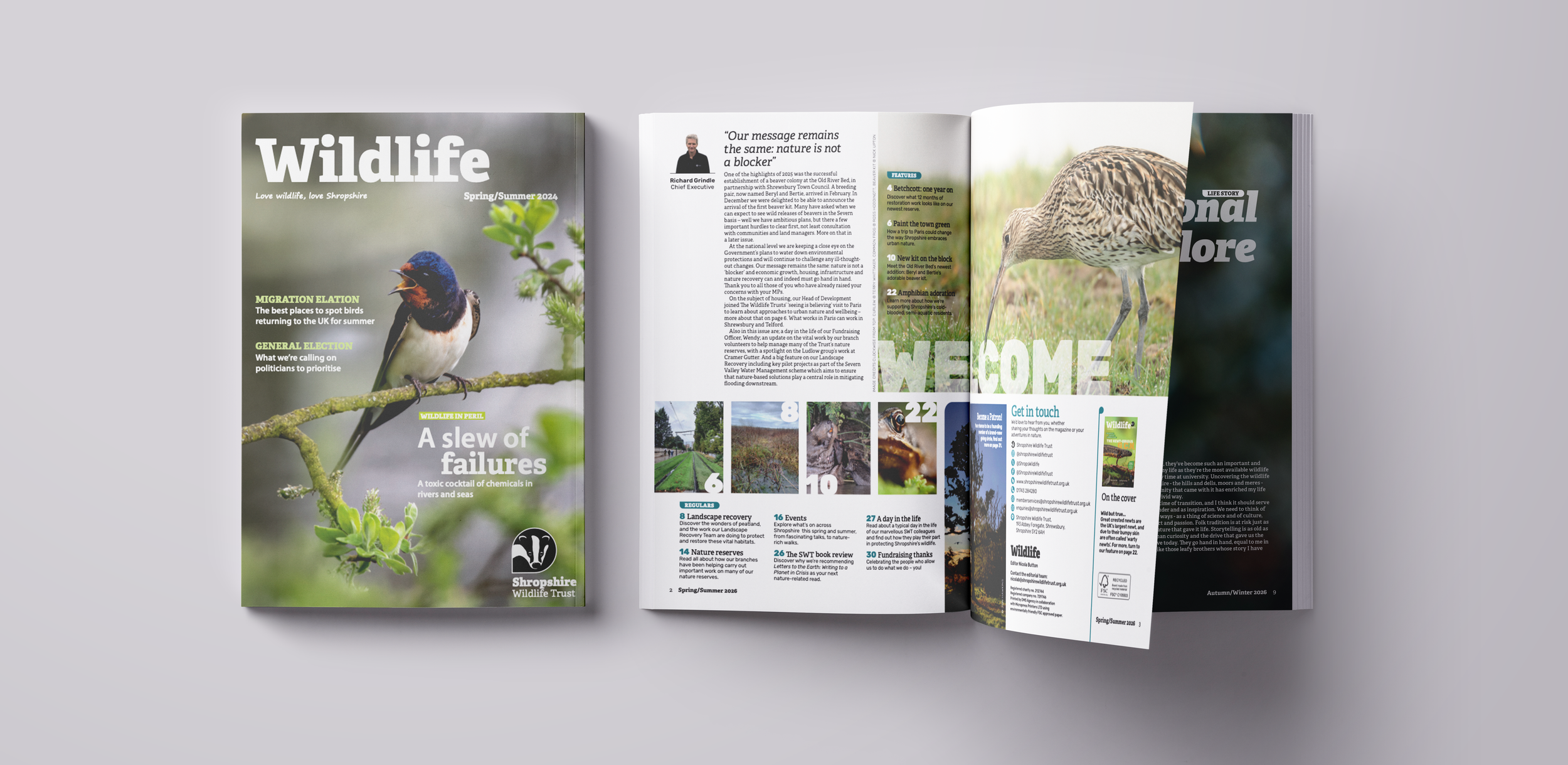 Magazine Mockup V1.png