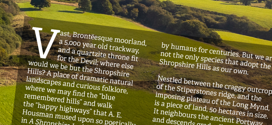 Magazine Excerpt.png