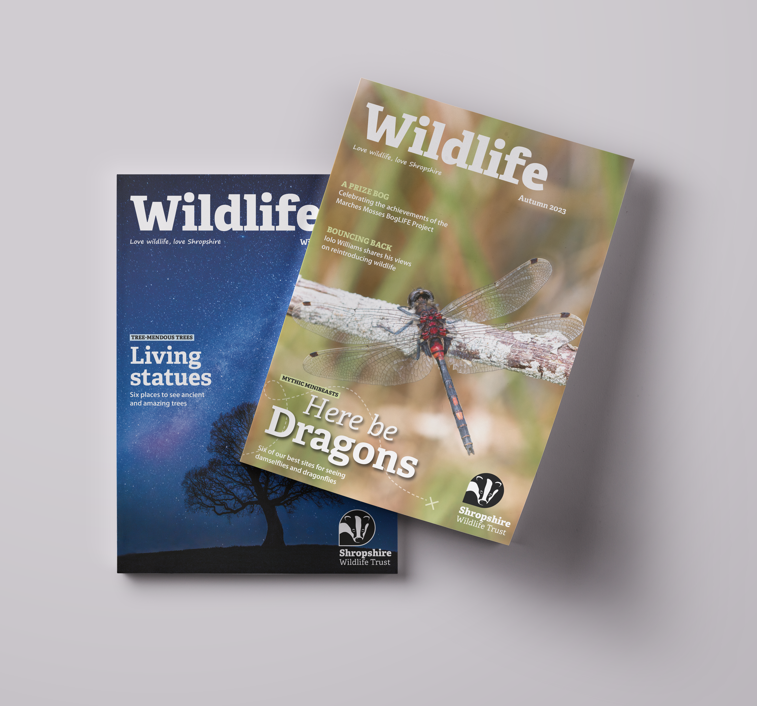 Magazine Mockup V3.png