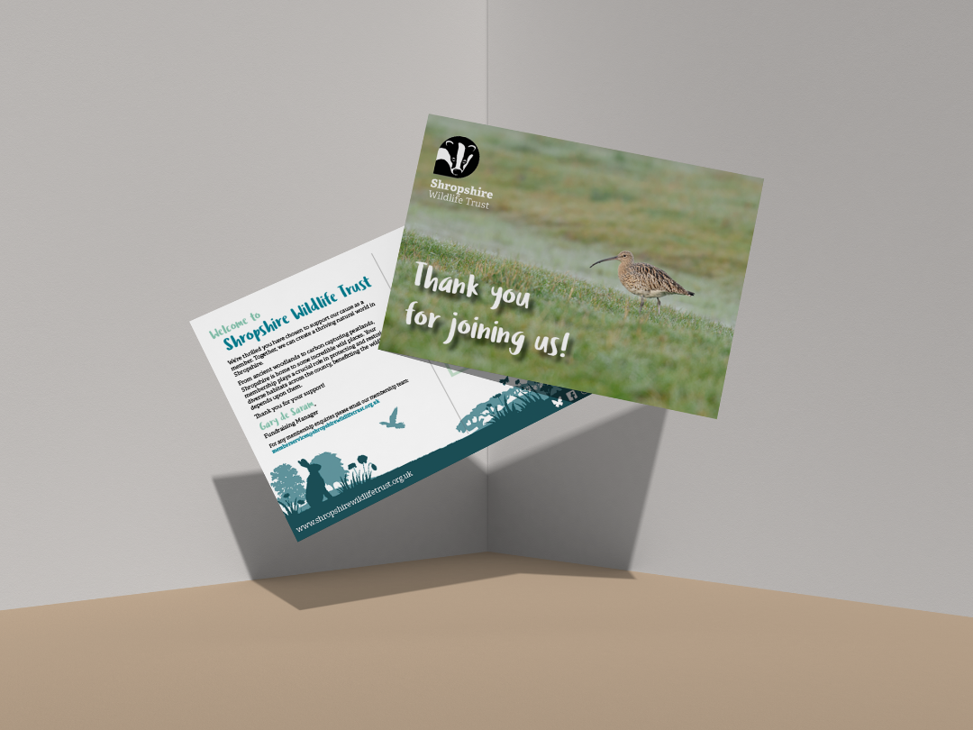 postcard.png