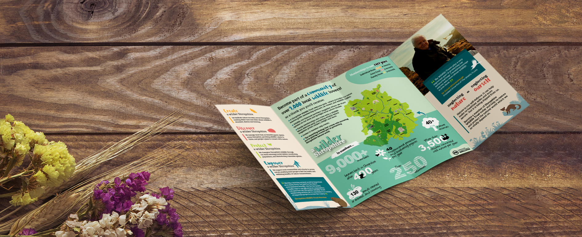 leaflet mockup.png
