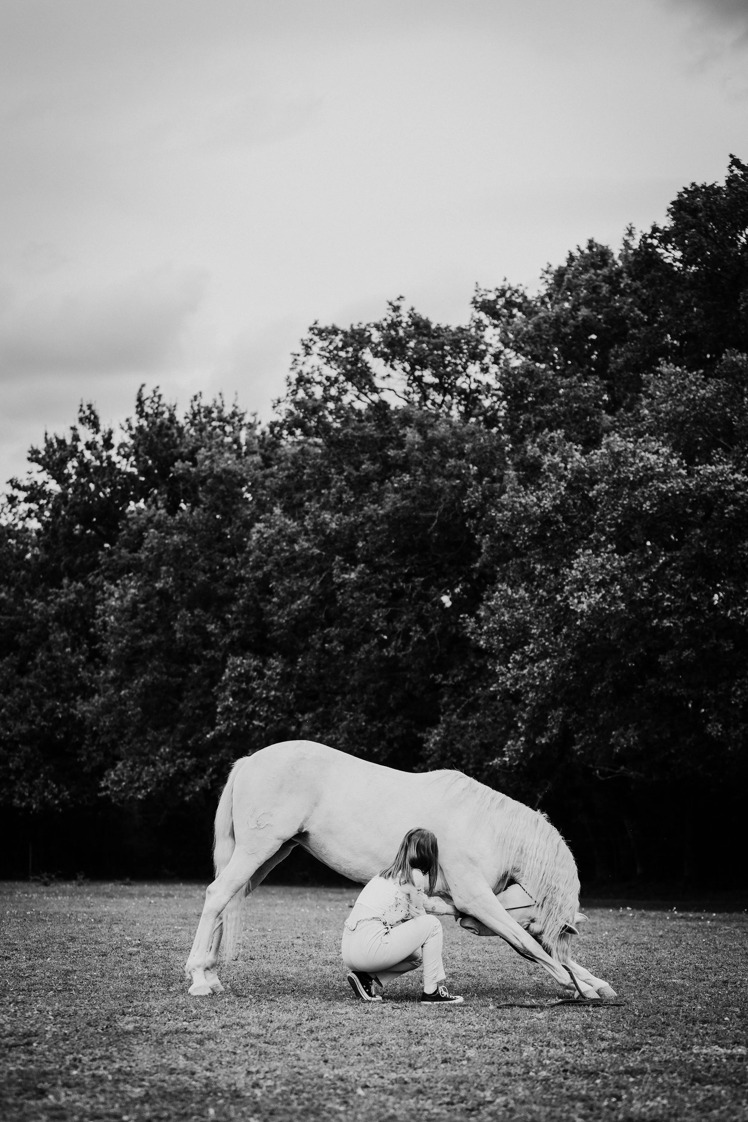 Emilie De Freitas Photographe spécialisée photo équine en Occitanie 