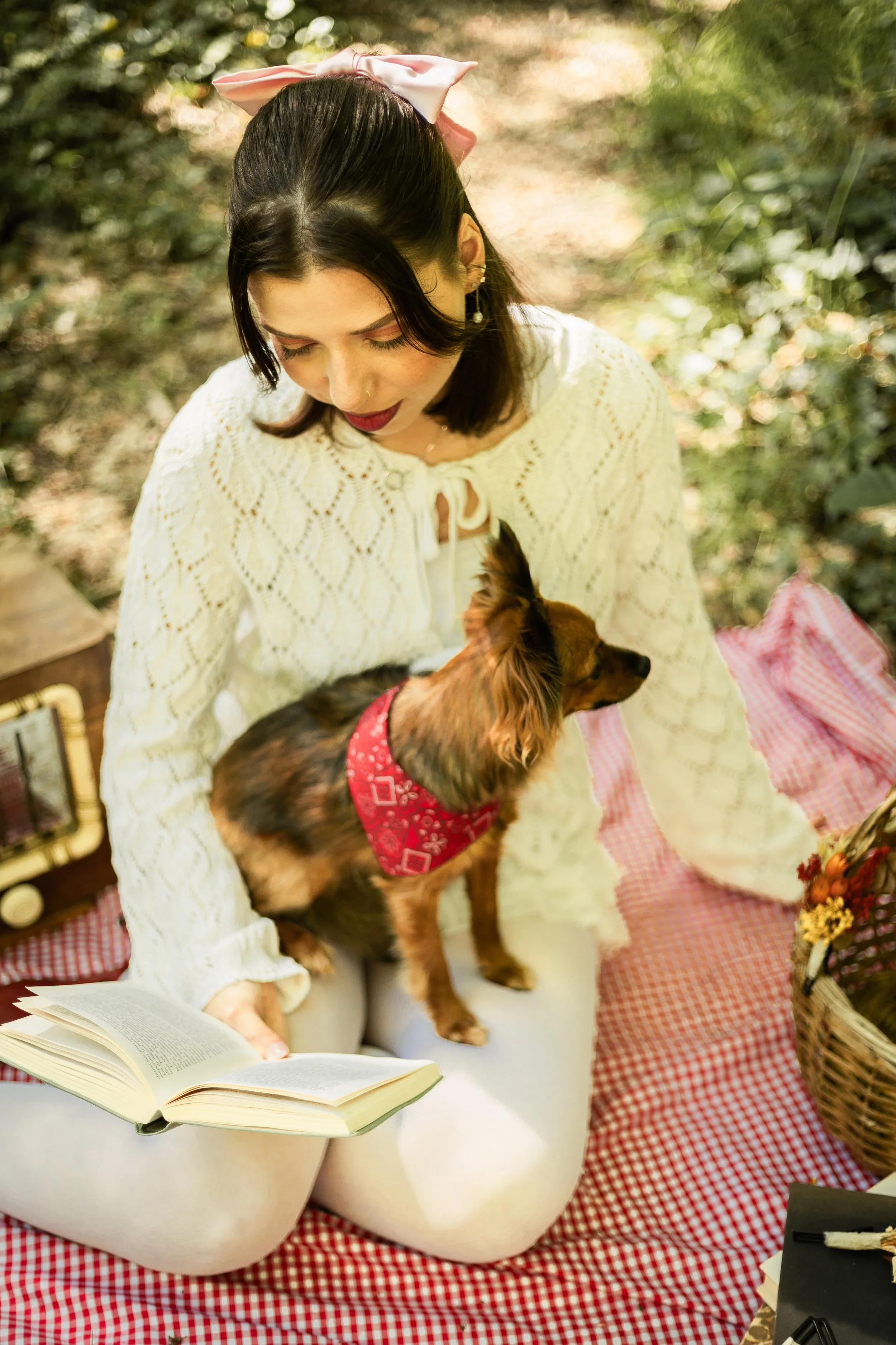 Emilie De Freitas Photographe spécialisée photo canine en Occitanie 