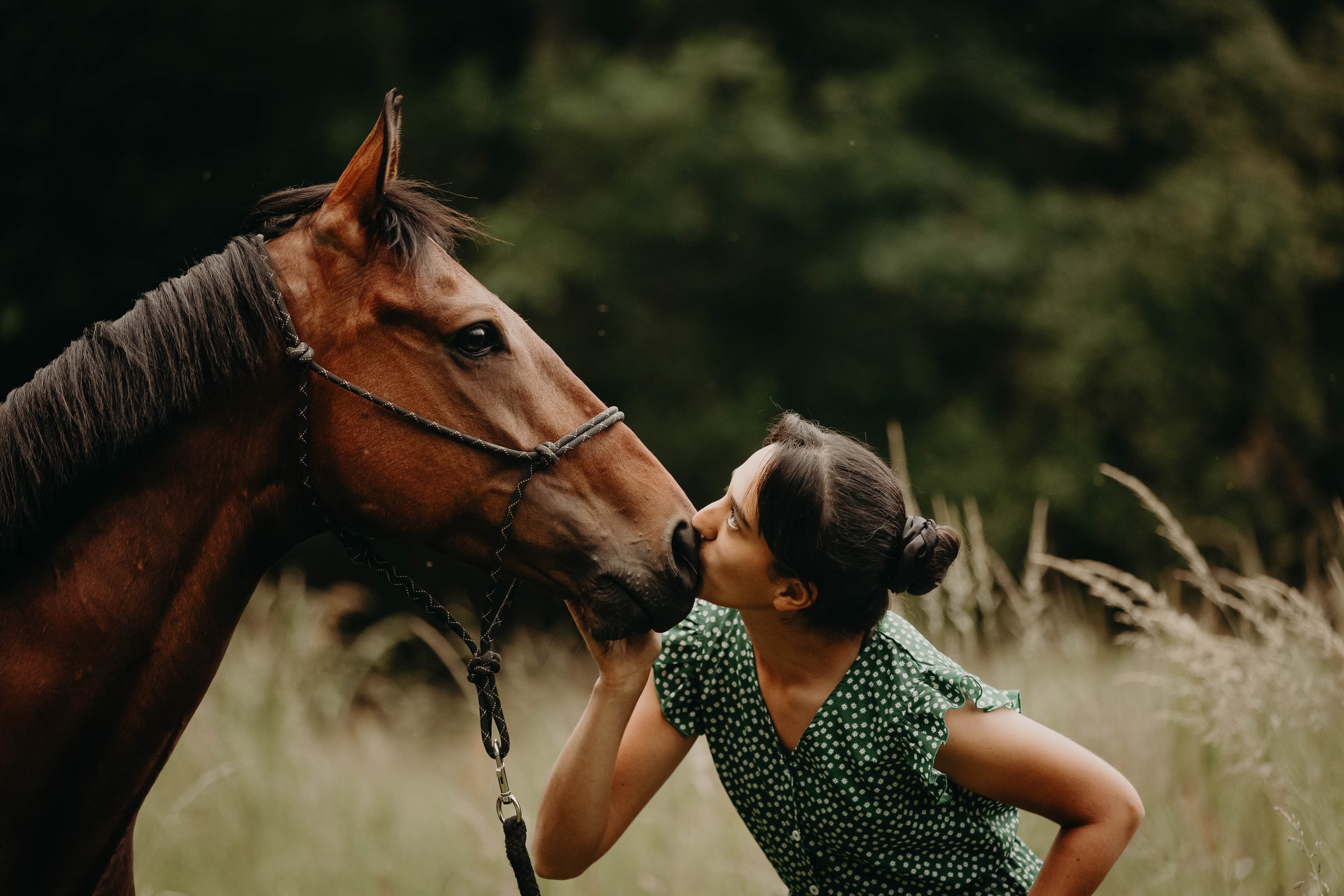 Emilie De Freitas Photographie, votre formatrice photo en séance photo équine dans la région toulousaine