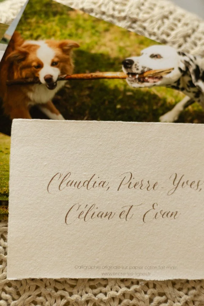 Photo de deux chiens s'attrapant une branche en jouant dans un jardin, avec une carte au premier plan portant des noms en calligraphie.