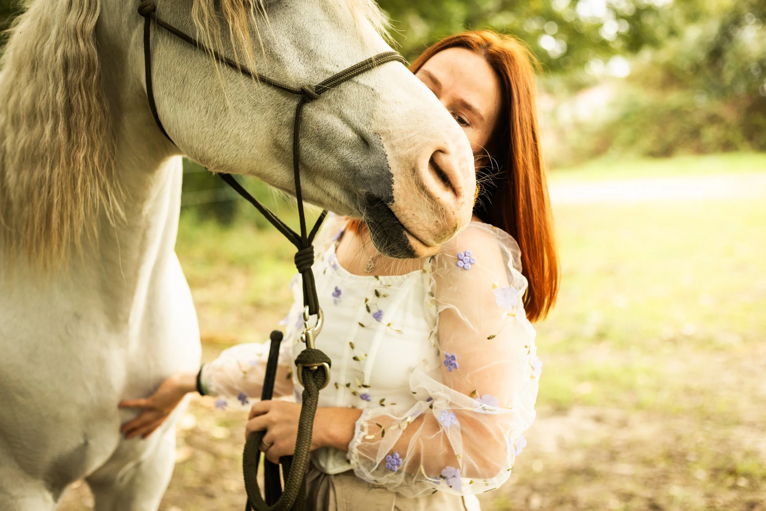 Emilie De Freitas Photographe spécialisée photo équine en Occitanie 