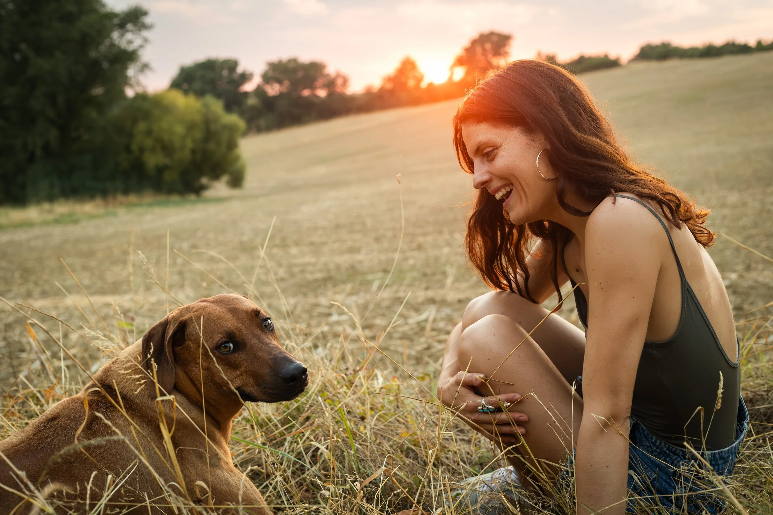 Emilie De Freitas Photographe spécialisée photo canine en Occitanie 