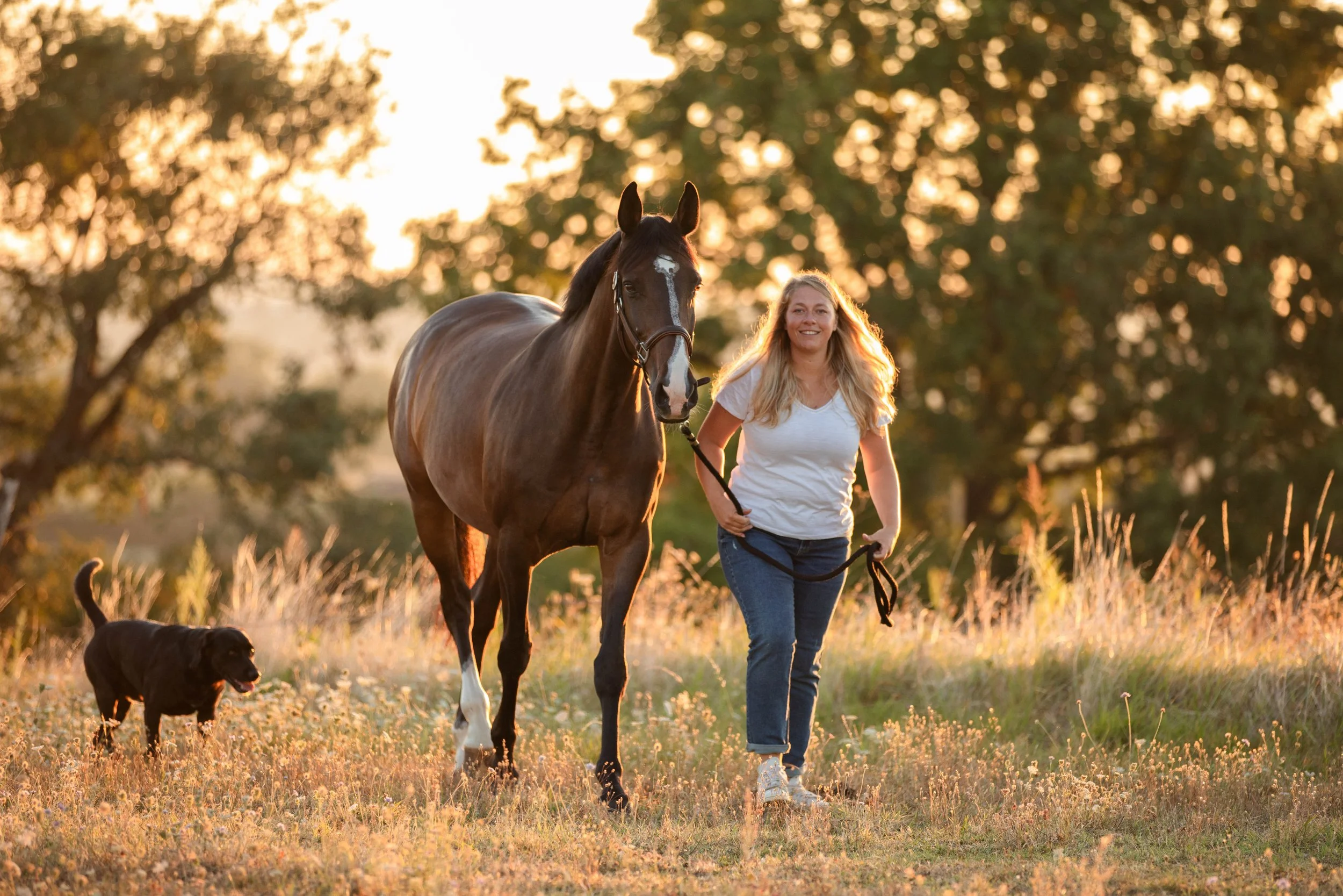 Emilie De Freitas Photographe spécialisée photo équine et canine en Occitanie 