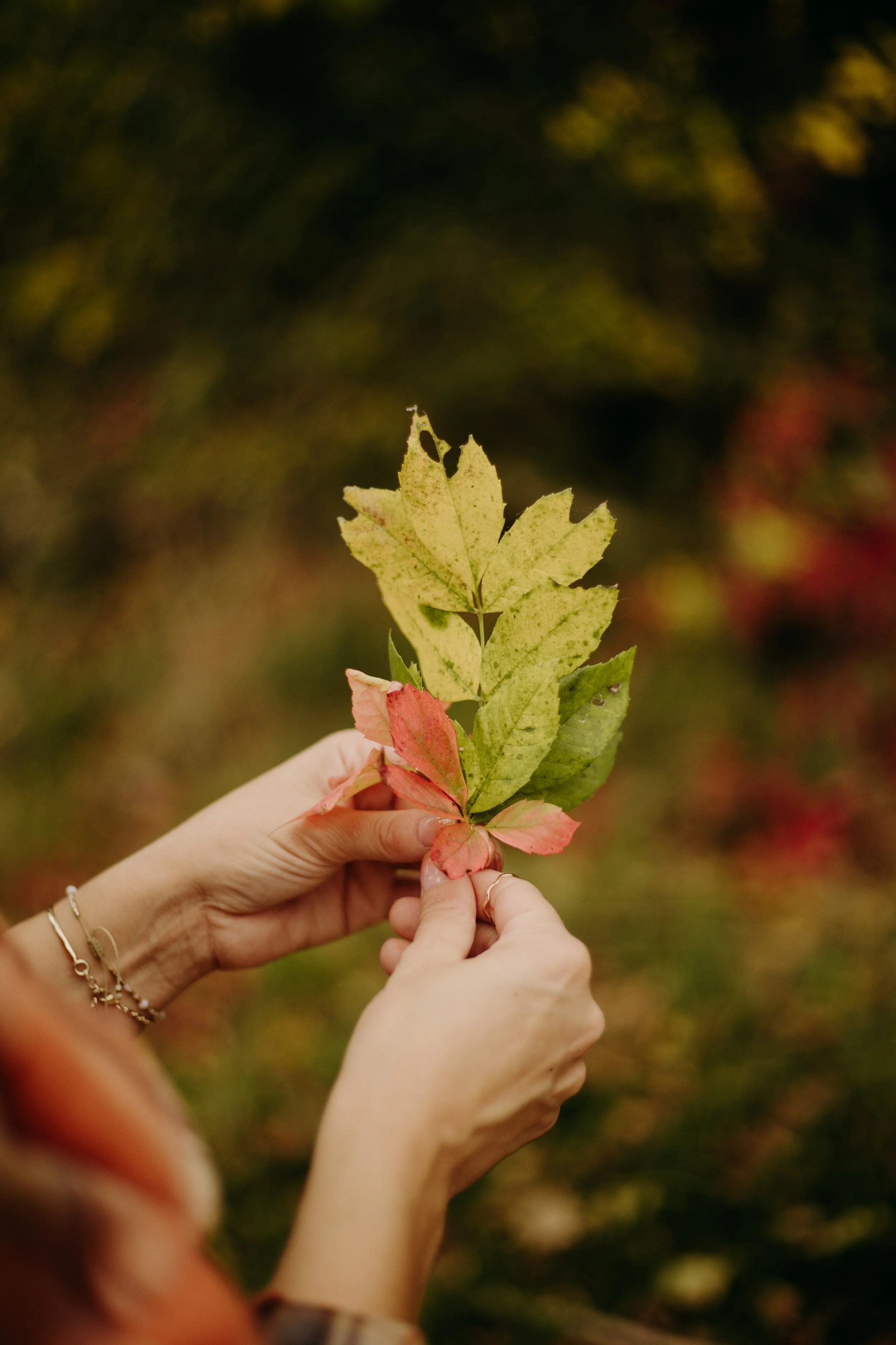 Emilie De Freitas, photographe Famille Toulouse