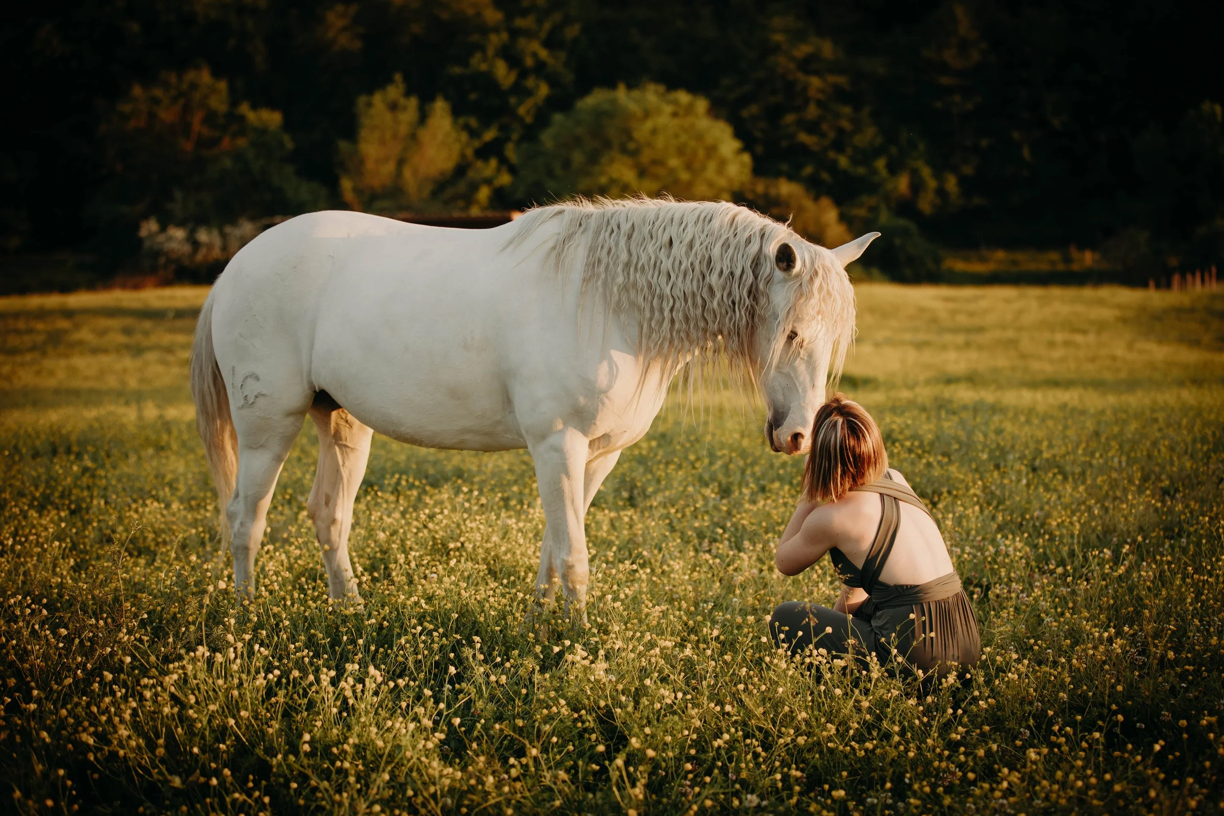 Emilie De Freitas Photographe spécialisée photo équine en Occitanie 