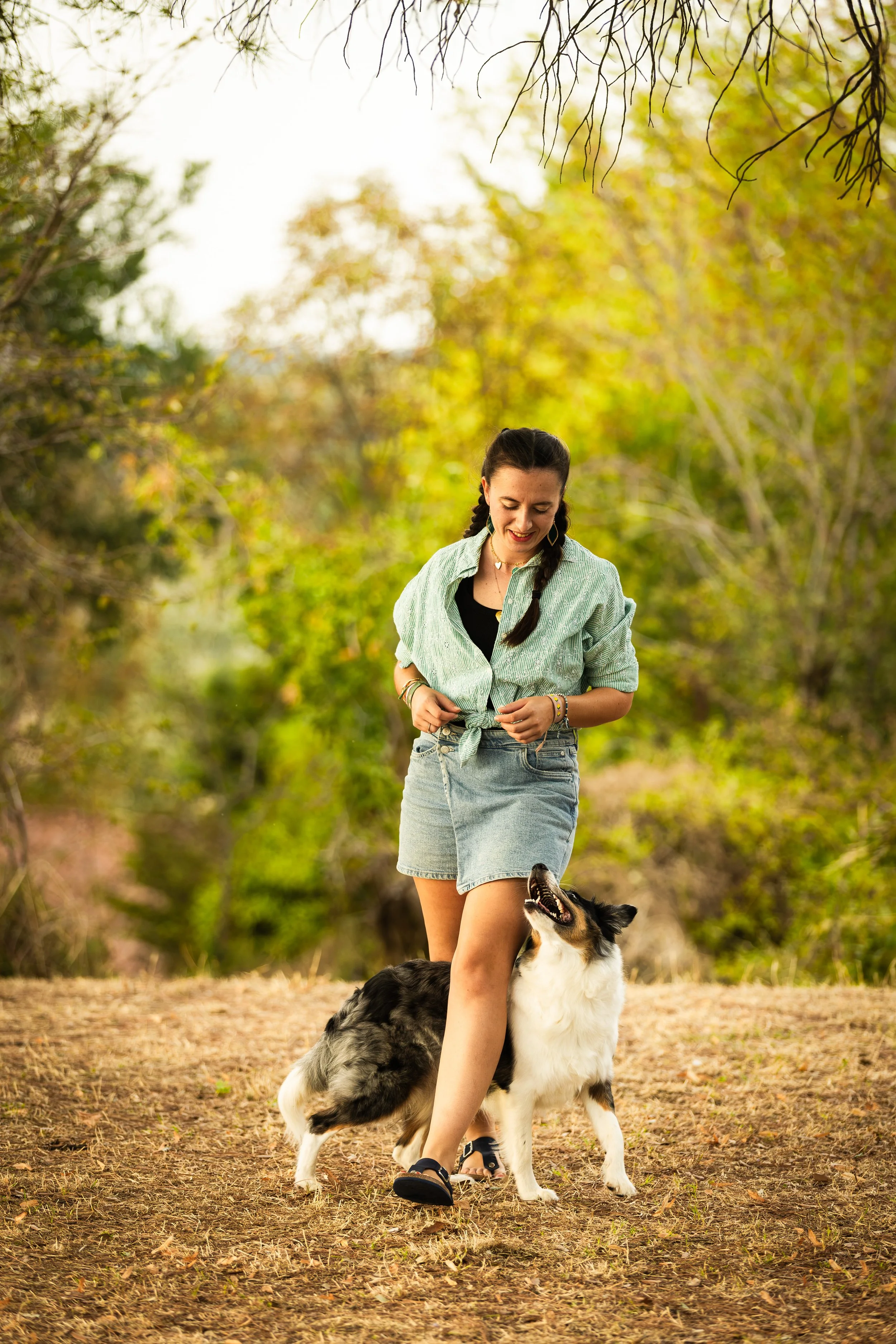 Emilie De Freitas Photographe spécialisée photo canine en Occitanie 