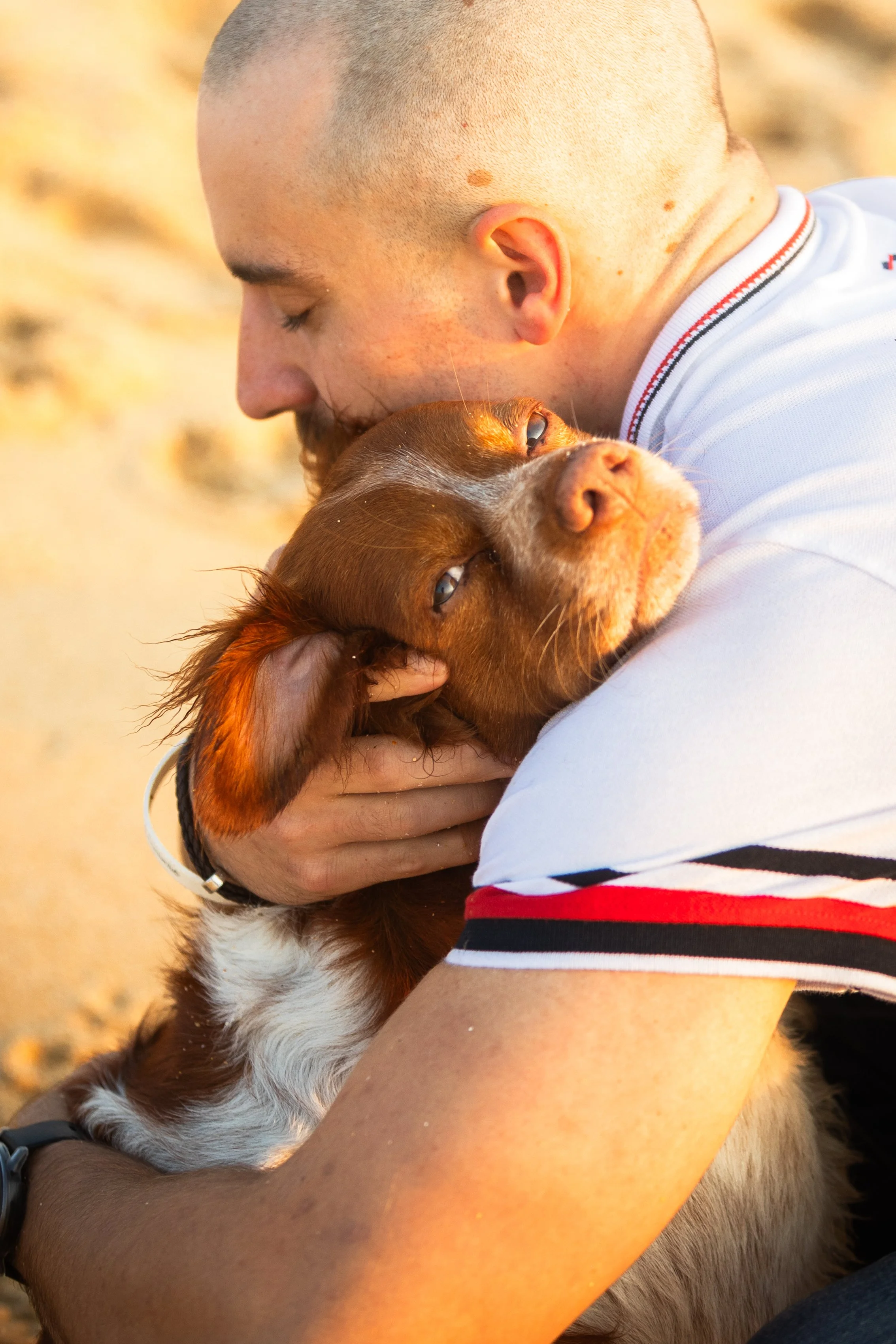 Emilie De Freitas Photographe spécialisée photo canine en Occitanie et Nouvelle Aquitaine
