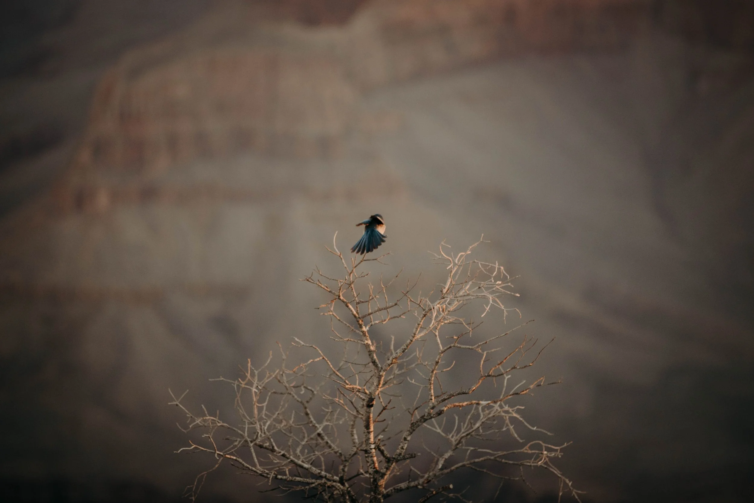 Photos de voyage par Emilie De Freitas Photographie