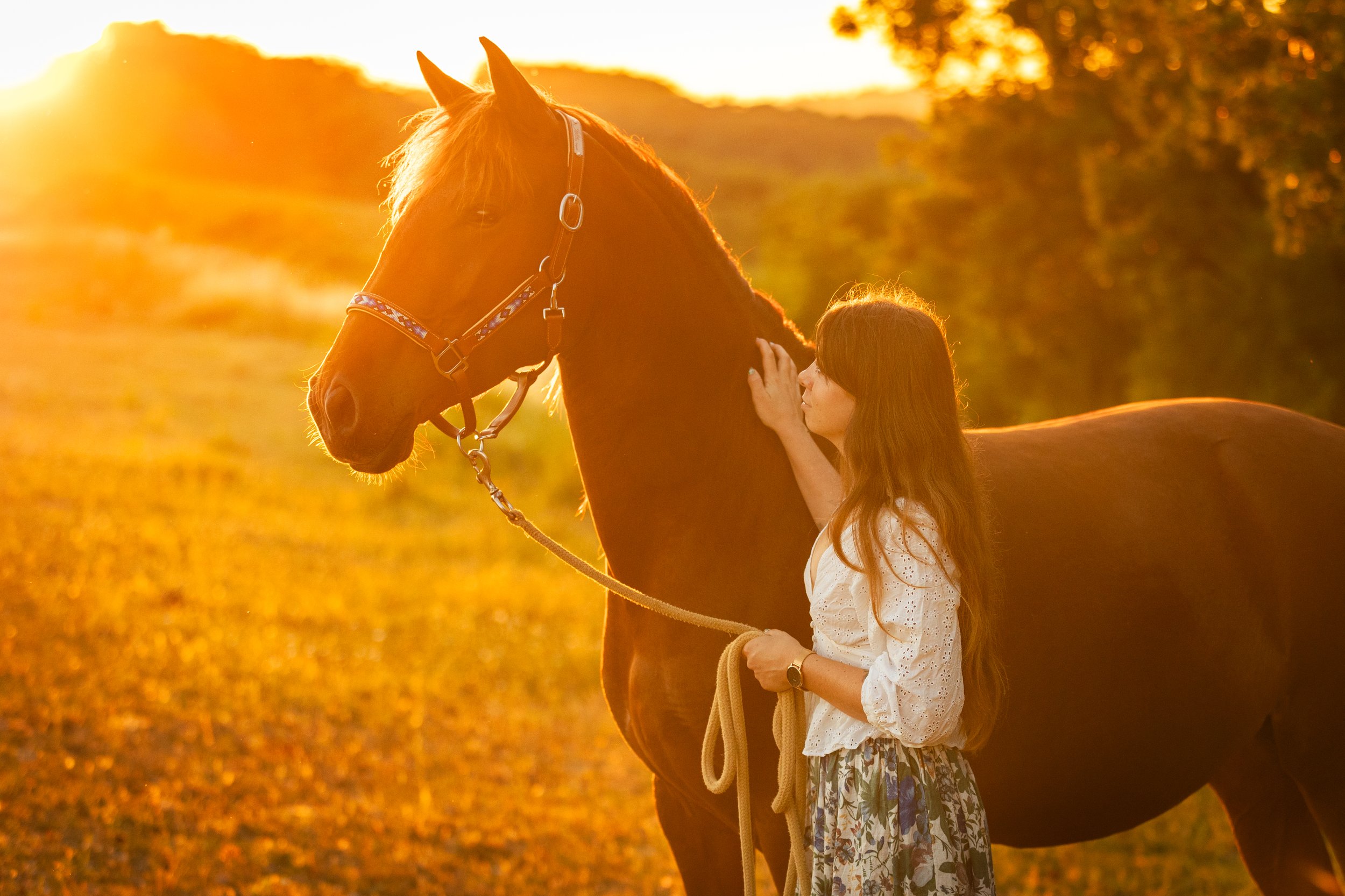 Emilie De Freitas Photographe spécialisée photo équine en Occitanie 
