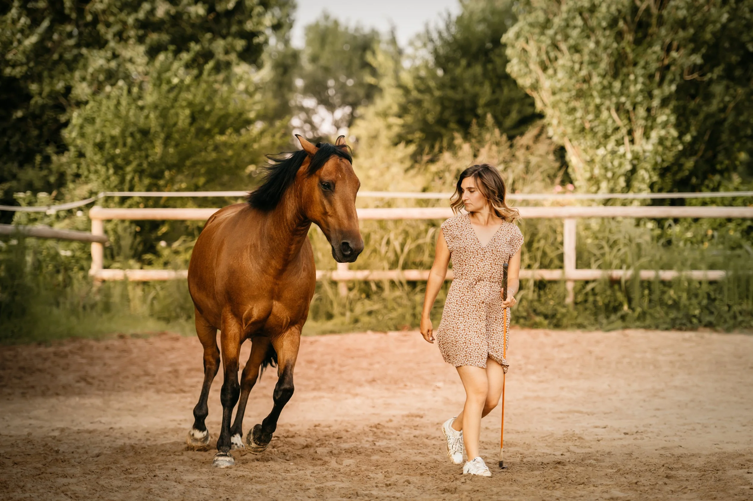 Je sais à quel point vos chevaux et chiens comptent pour vous et je sais tous les sacrifices que vous faites au quotidien pour eux. Vous méritez que votre histoire soit racontée par quelqu’un qui vous comprend.